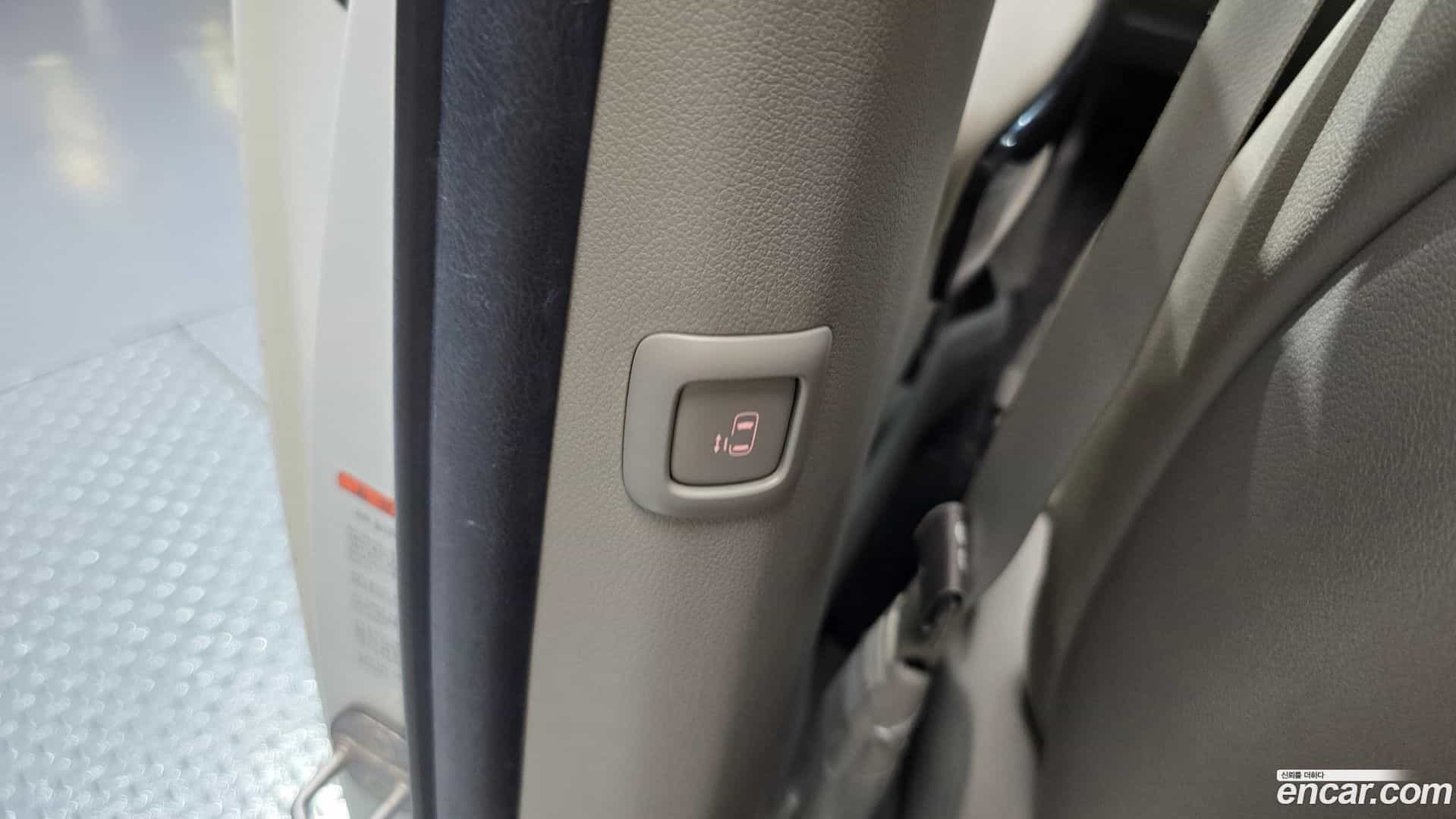 Canival Kia 2019.5-OPTION-043
