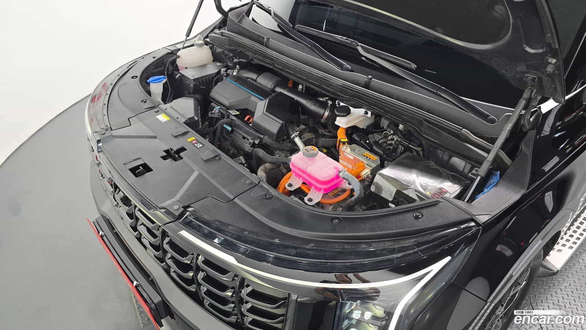 Canival Kia 2024.4-OUTER-006