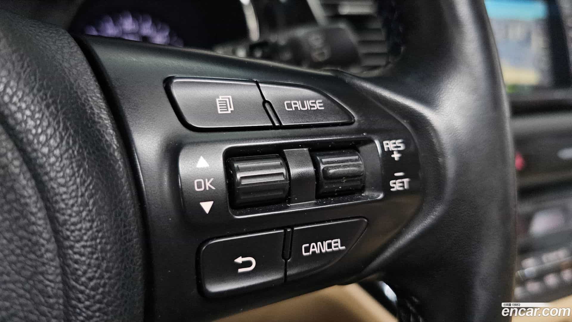 Canival Kia 2016.6-OPTION-043