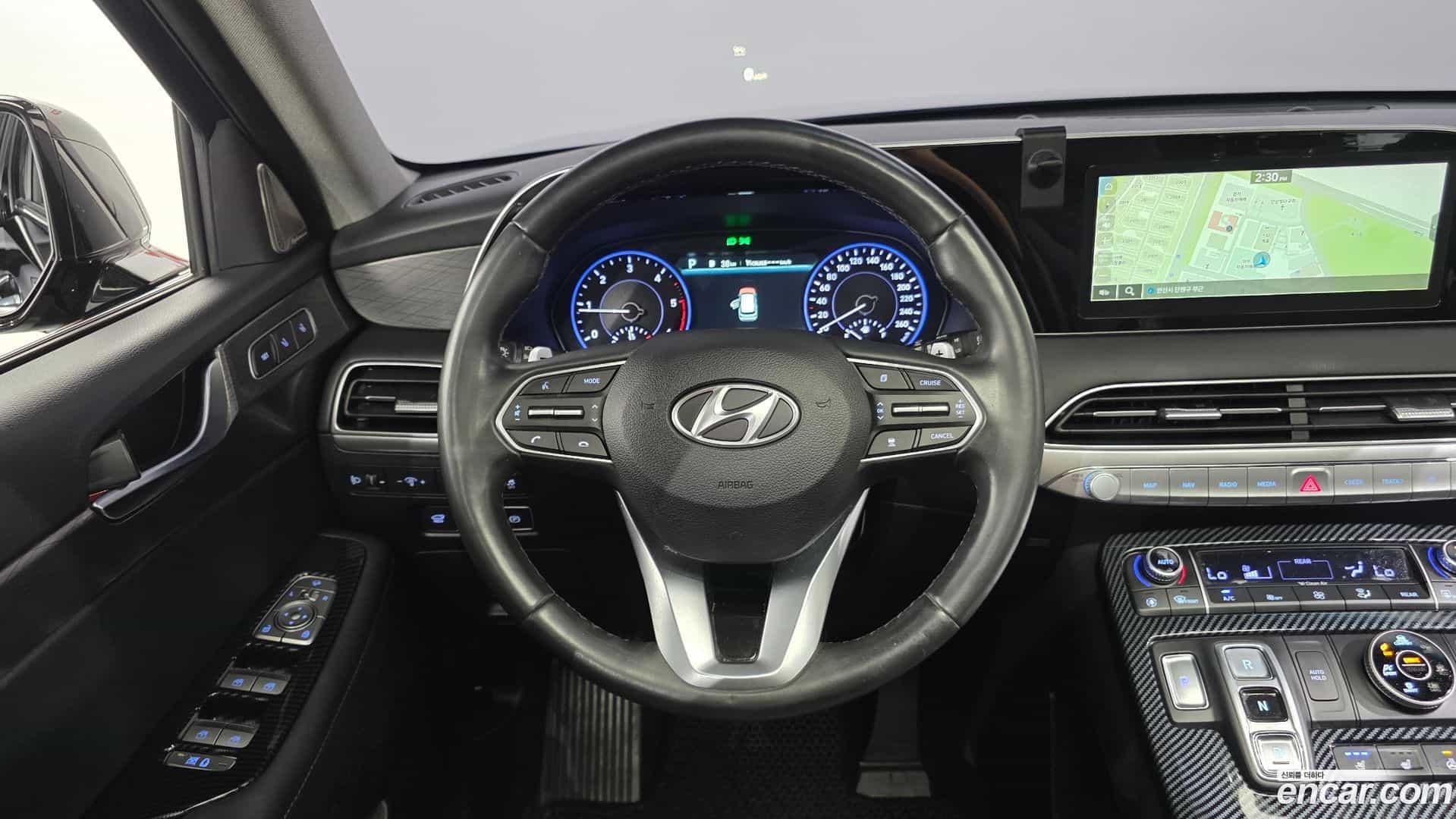 Palisade Hyundai 2019.0-OPTION-017