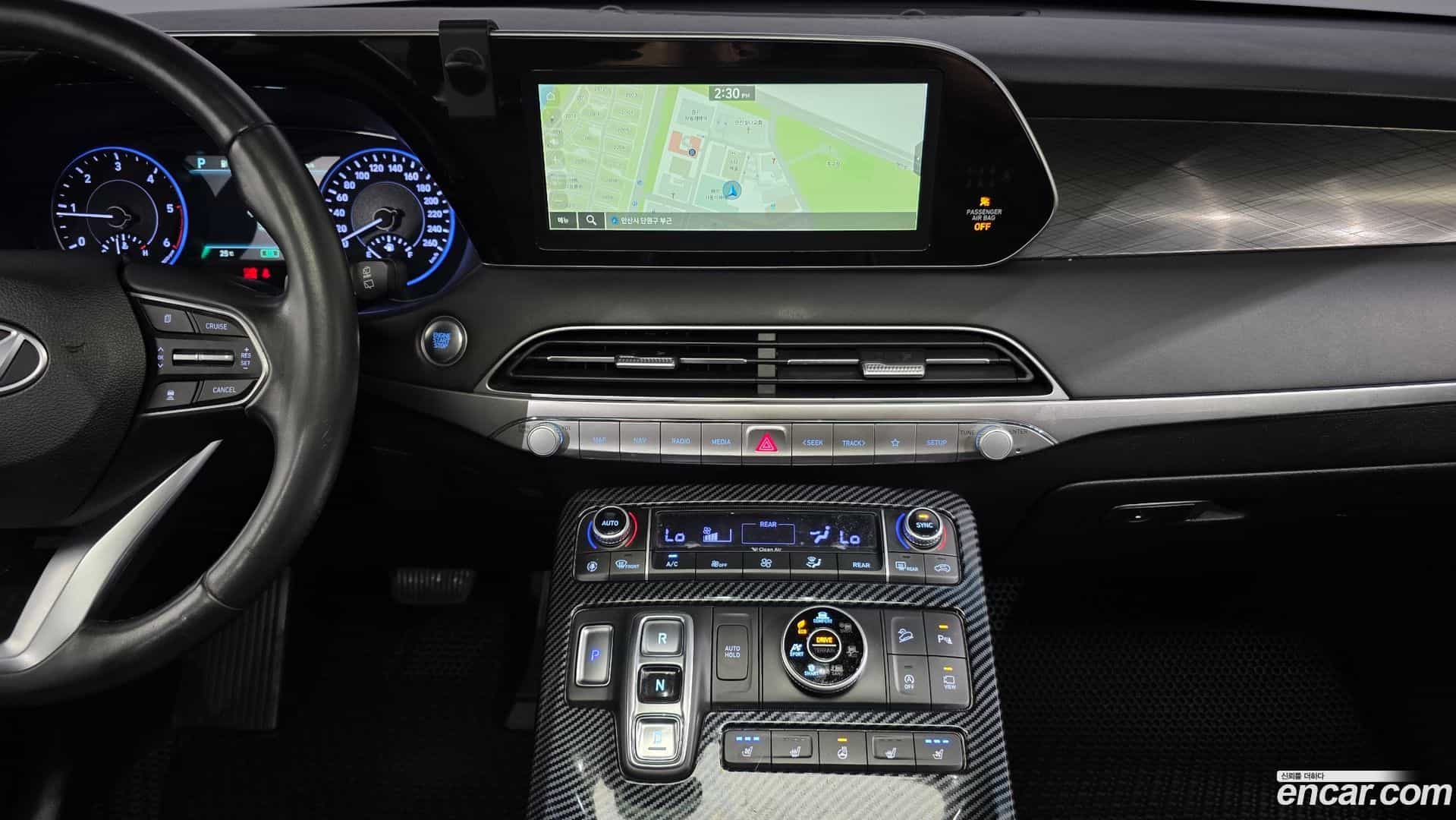 Palisade Hyundai 2019.0-OPTION-022