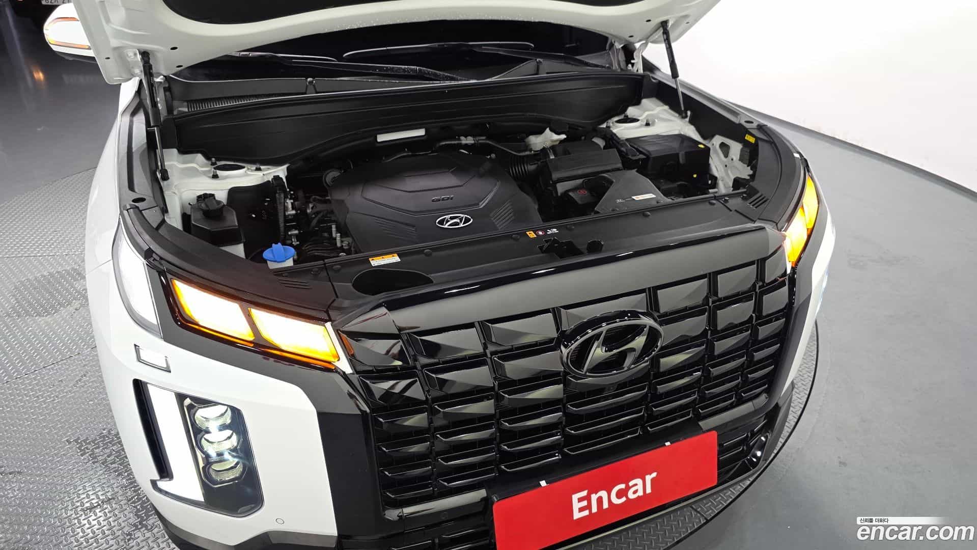 Palisade Hyundai 2024.6-OUTER-006