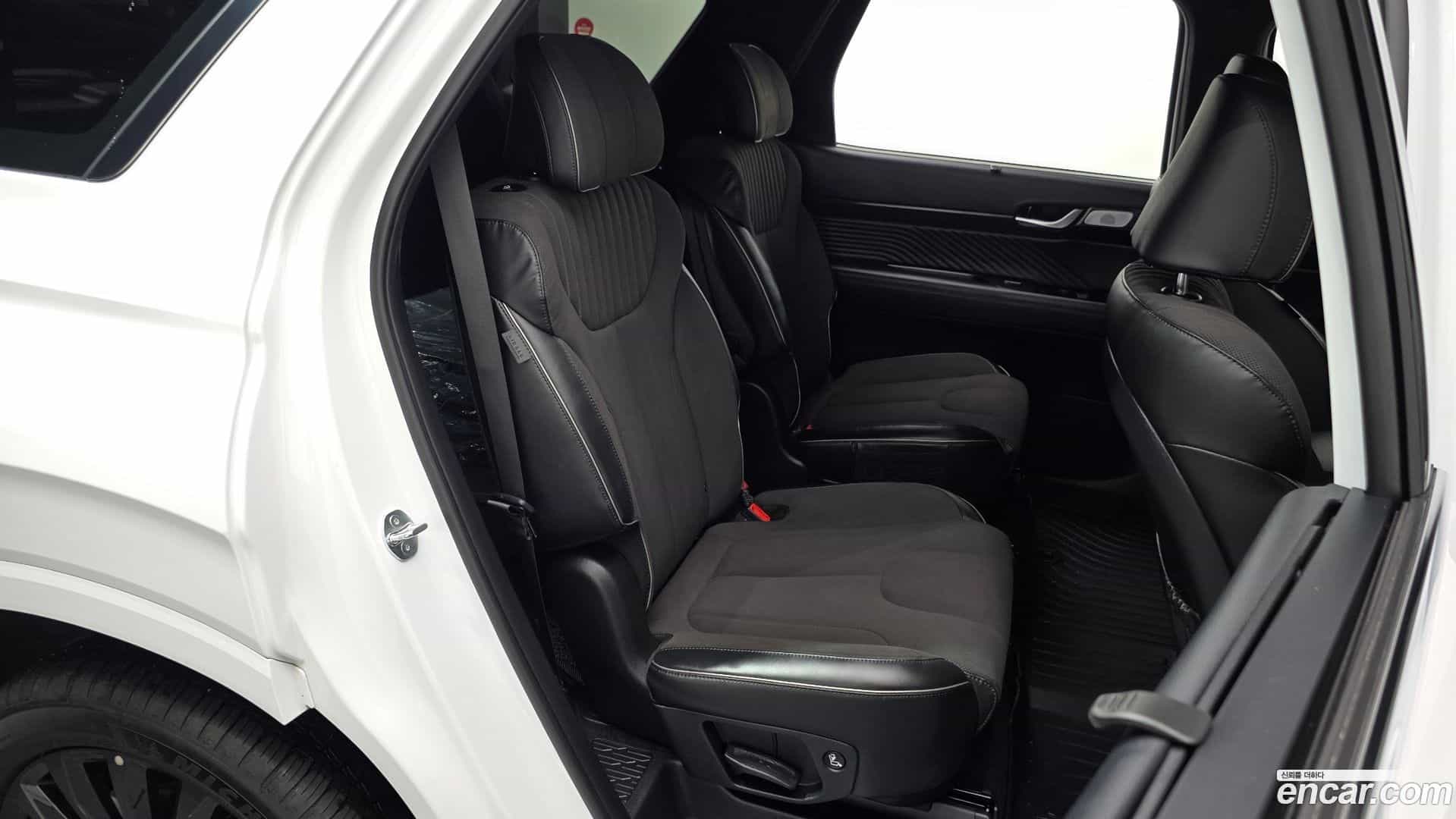 Palisade Hyundai 2024.6-OPTION-016
