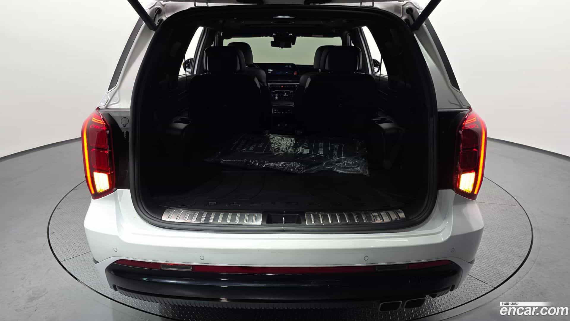 Palisade Hyundai 2024.6-OPTION-024