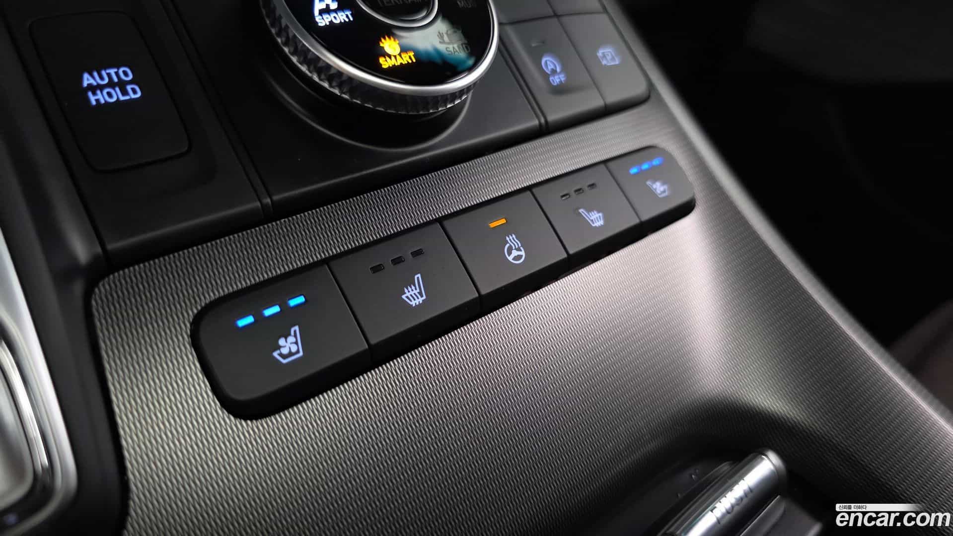 Palisade Hyundai 2024.6-OPTION-052