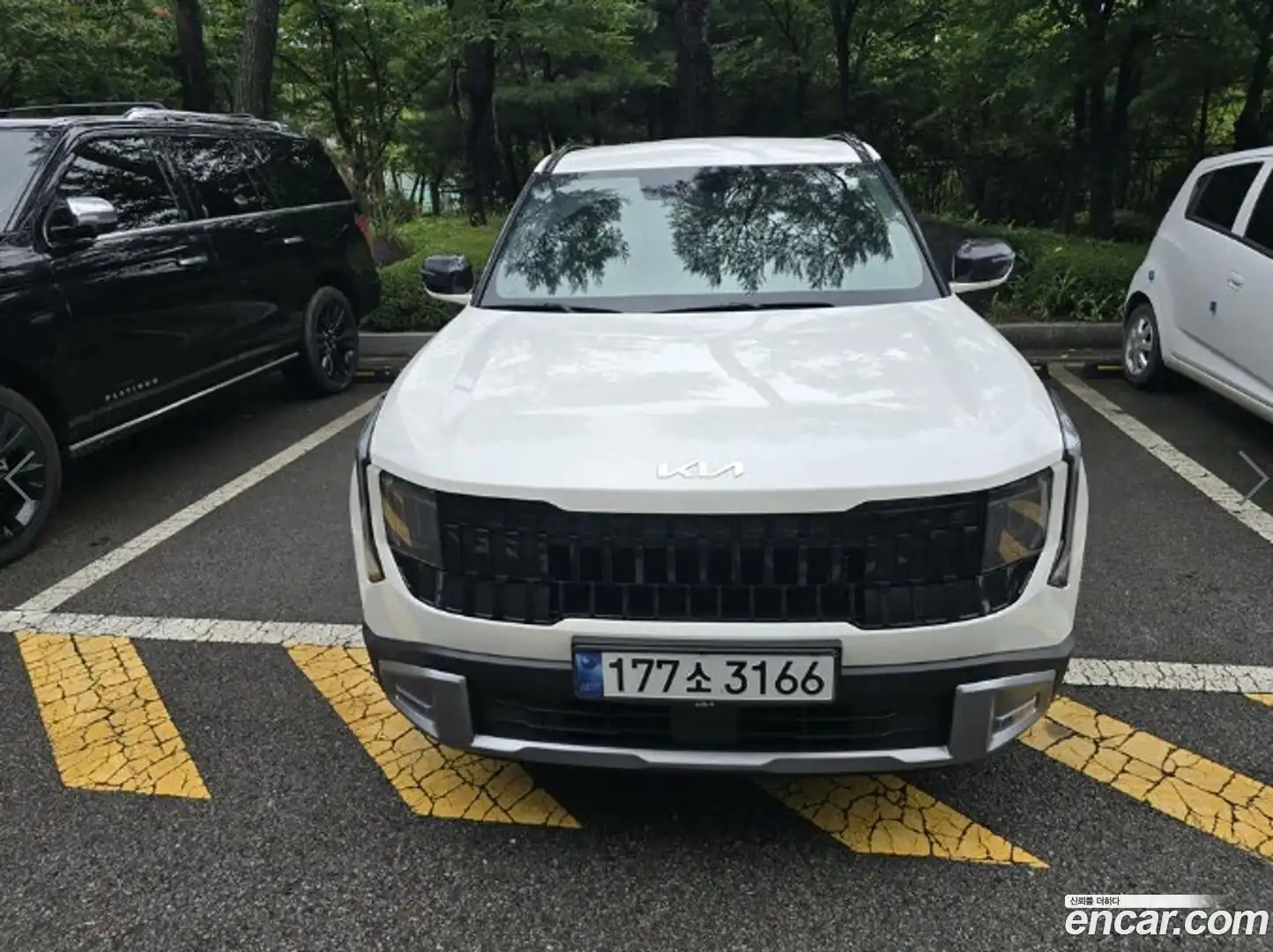 Seltos Kia 2026.3-OUTER-001