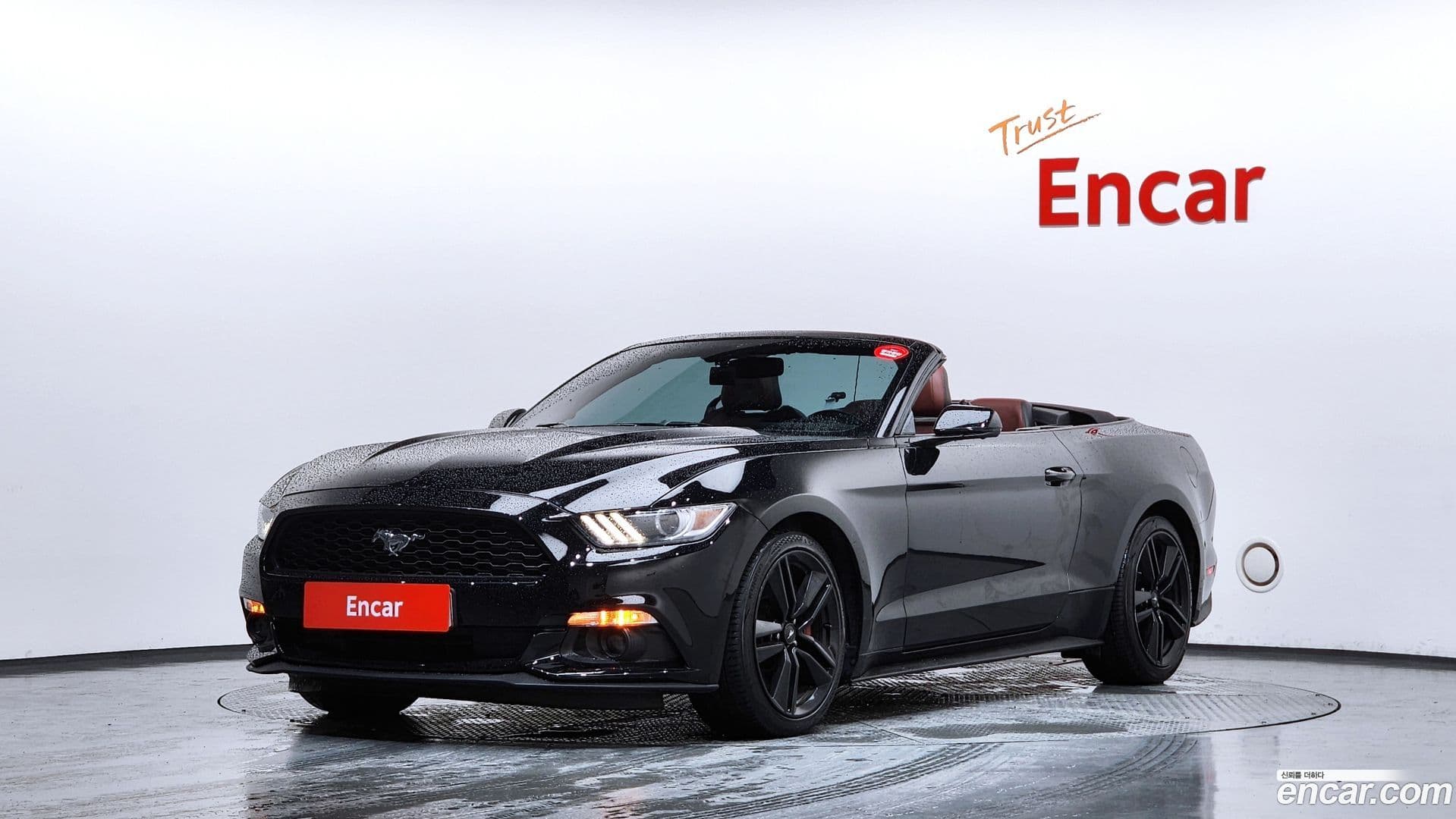 Main__Slider__Photo:Mustang Ford 2016.8-0