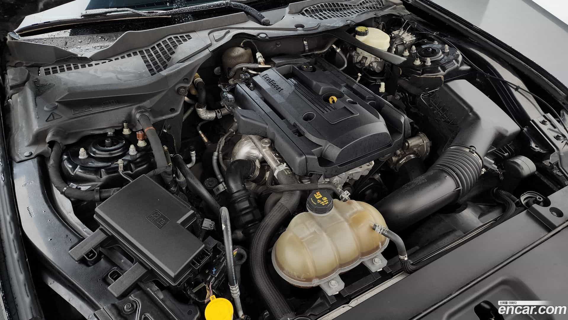 Mustang Ford 2016.8-OUTER-006