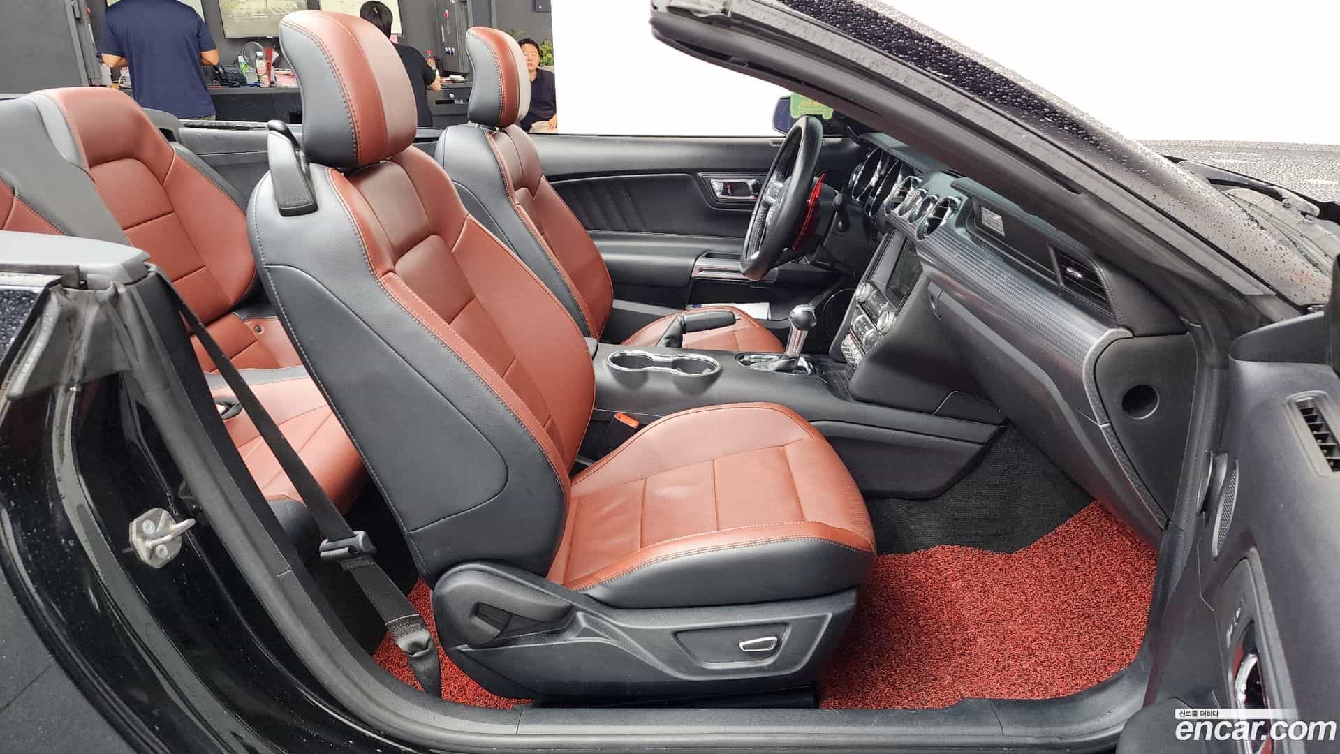 Mustang Ford 2016.8-OPTION-015