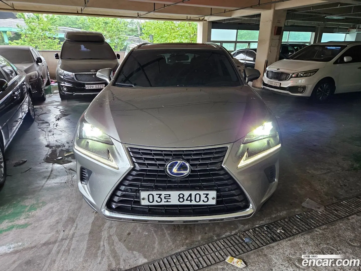 Main__Slider__Photo:NX Lexus 2018.0-1