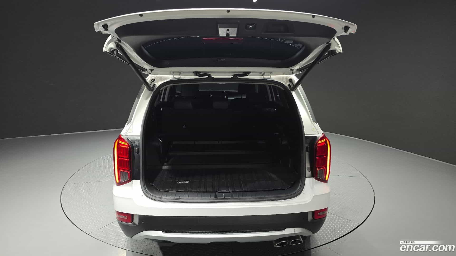 Palisade Hyundai 2019.8-OPTION-046