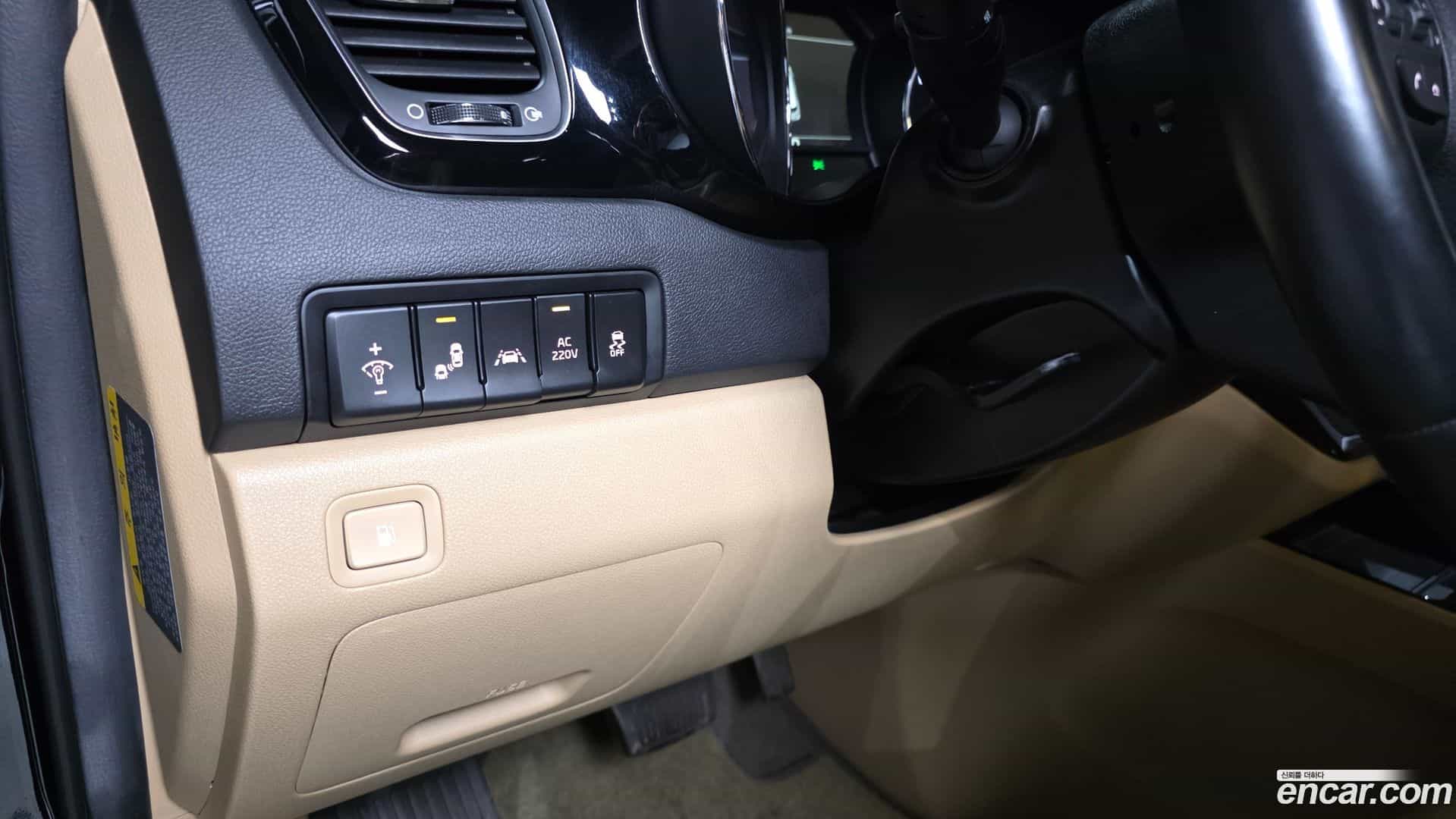 Canival Kia 2018.6-OPTION-040