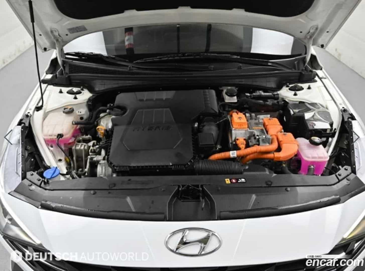 AVANTE Hyundai 2022.4-OUTER-006