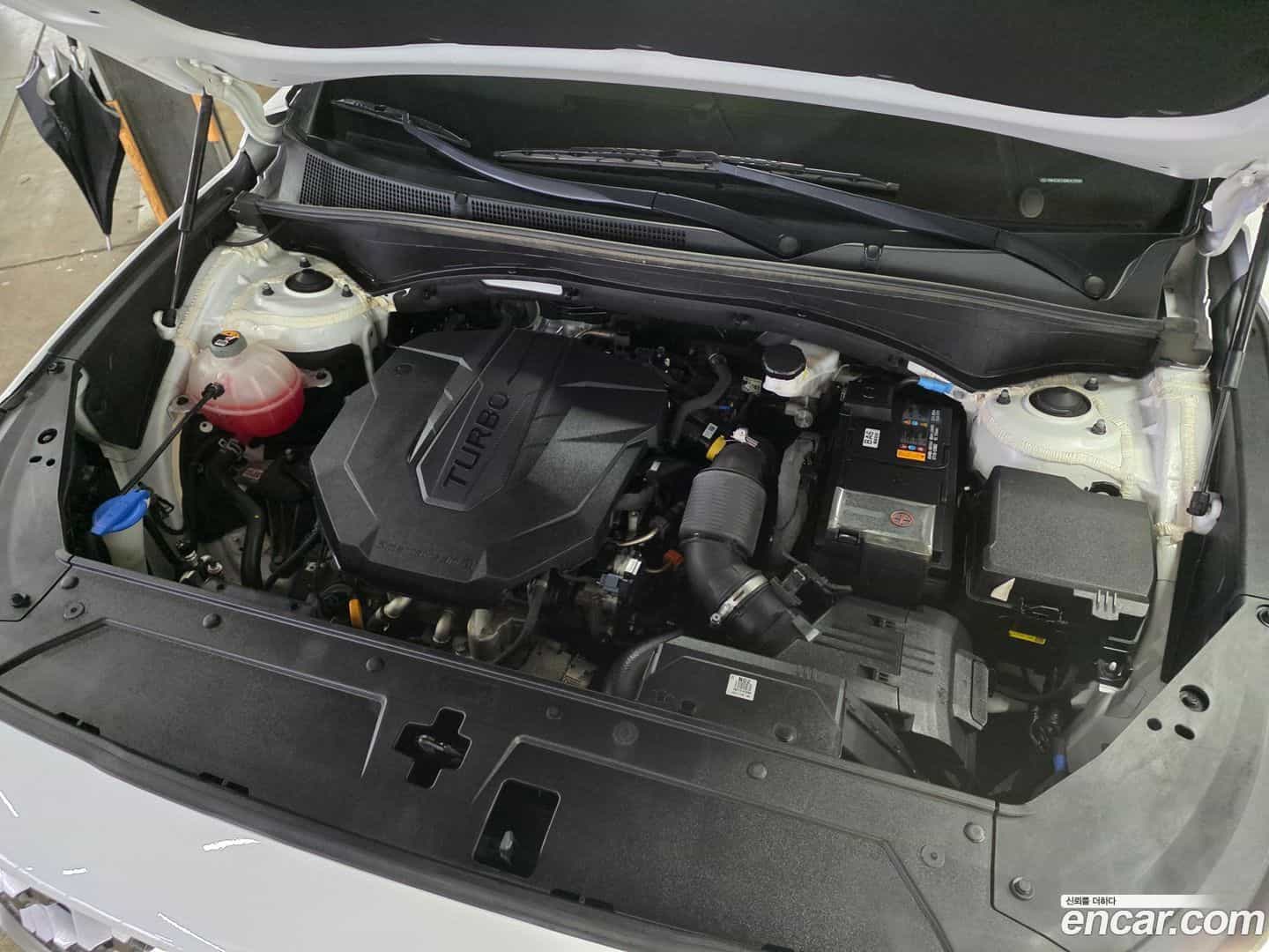 Santafe Hyundai 2021.11-OUTER-006