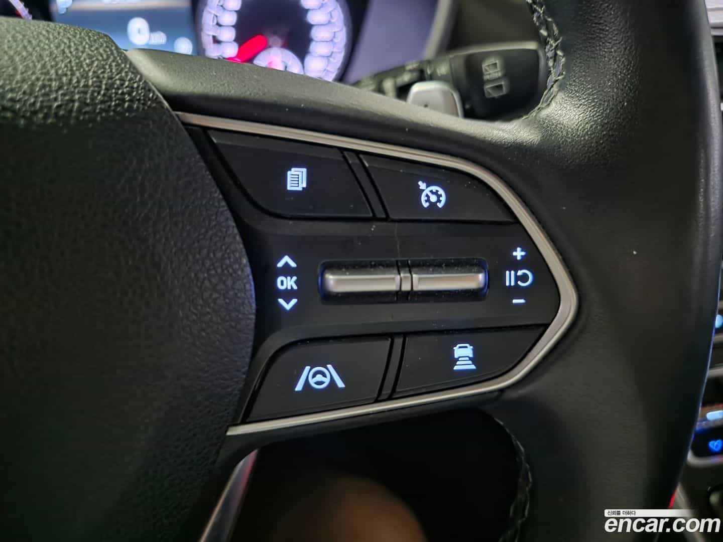 Santafe Hyundai 2021.11-OPTION-017