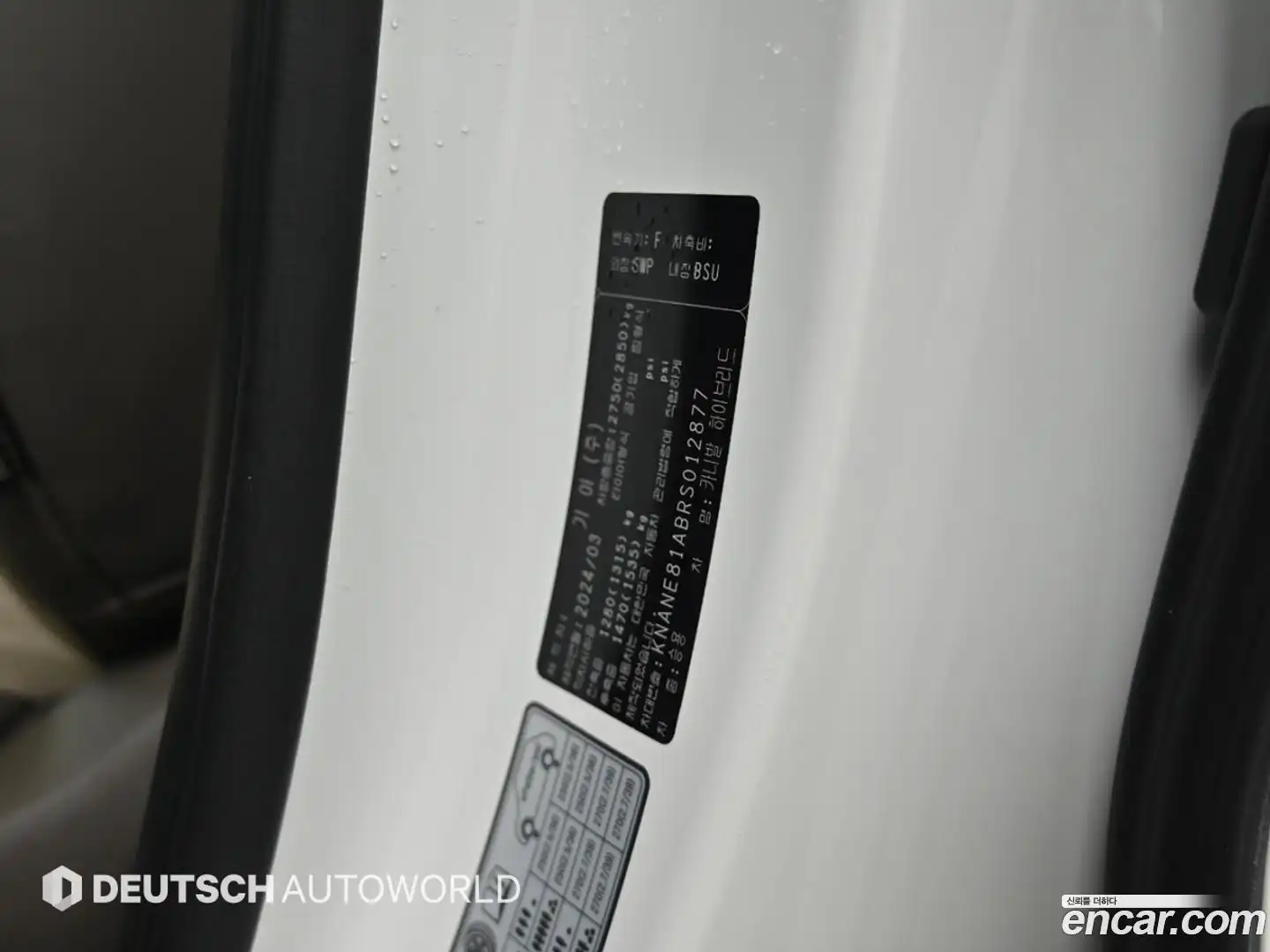 Canival Kia 2024.2-OPTION-024