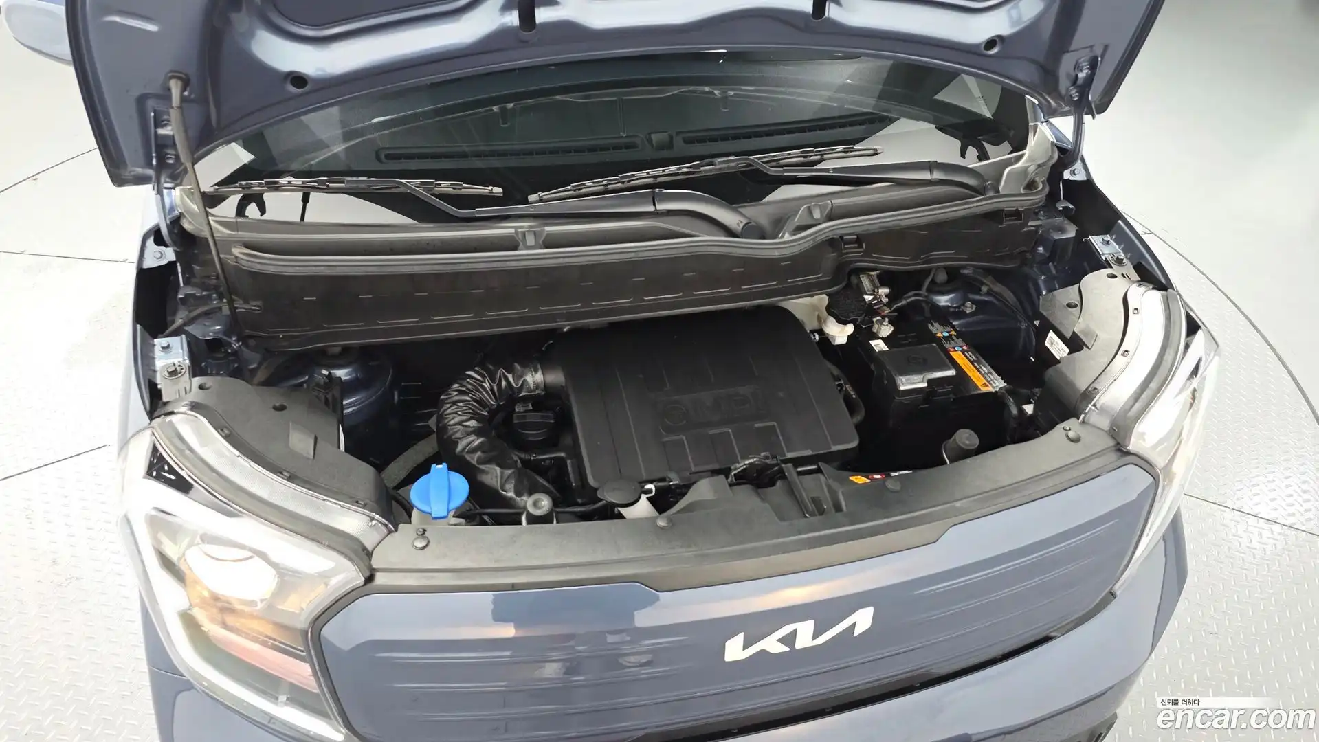 RAY Kia 2024.9-OUTER-006