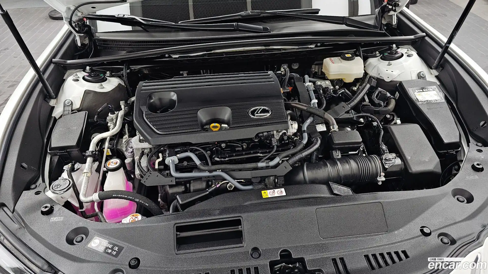 ES Lexus 2025.1-OUTER-006