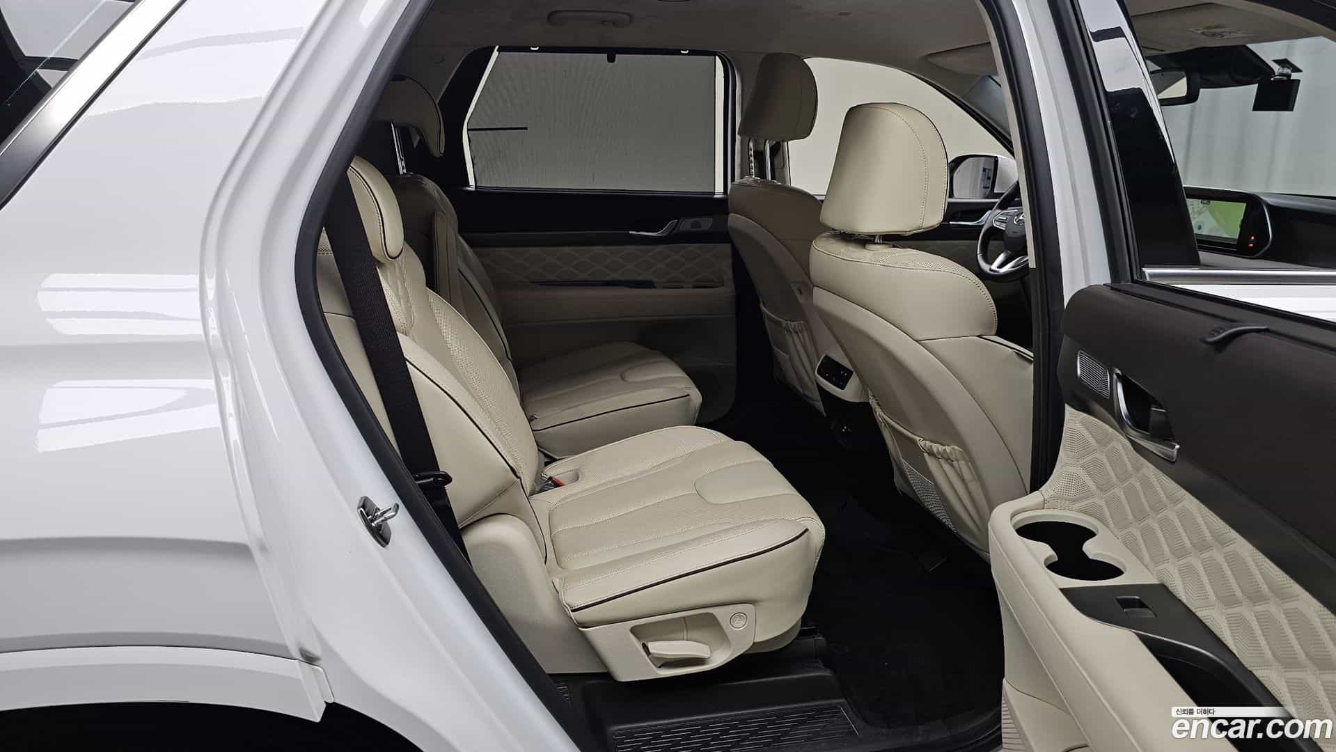 Palisade Hyundai 2021.4-OPTION-016