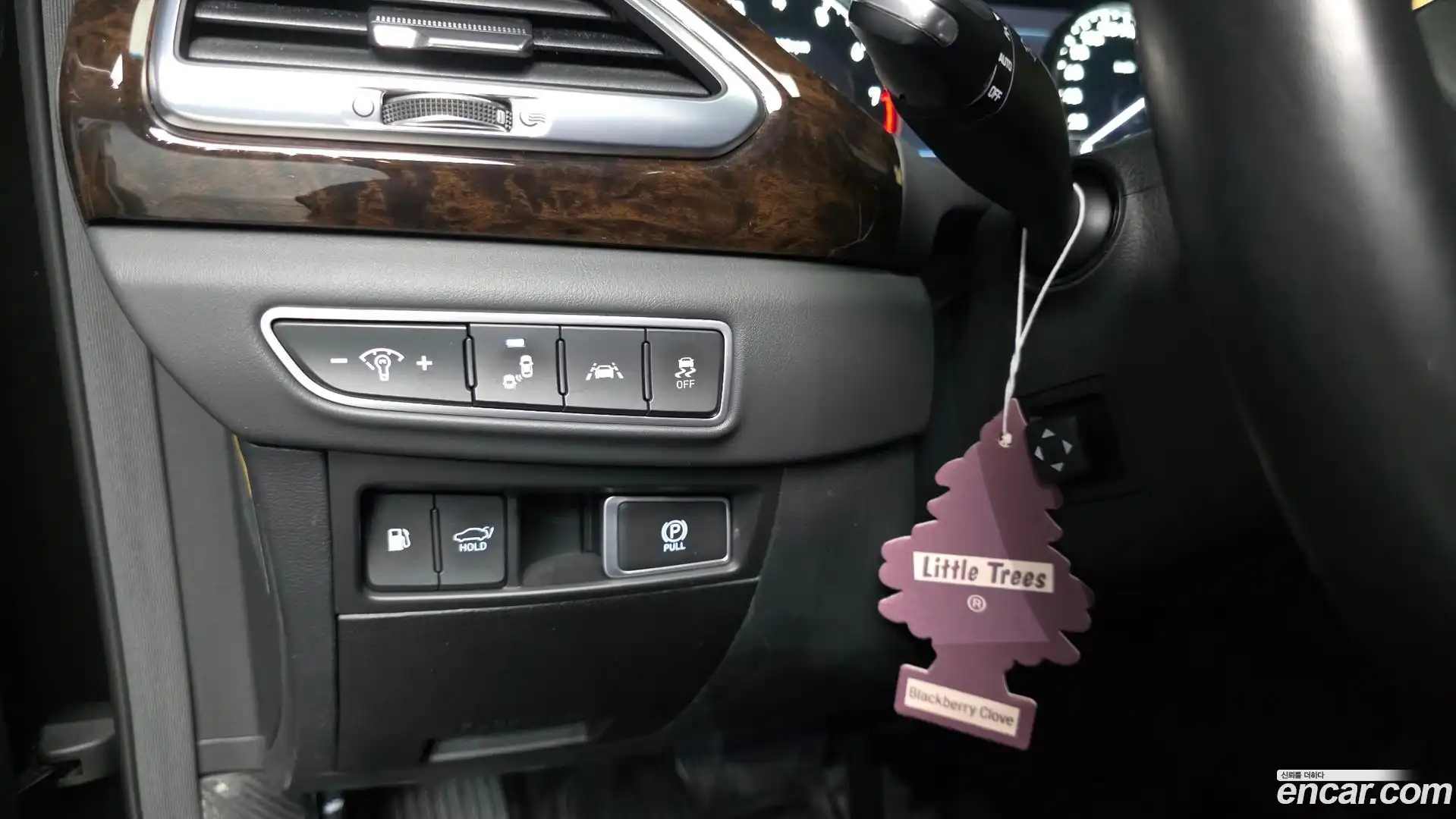 G90 Genesis 2019.8-OPTION-041