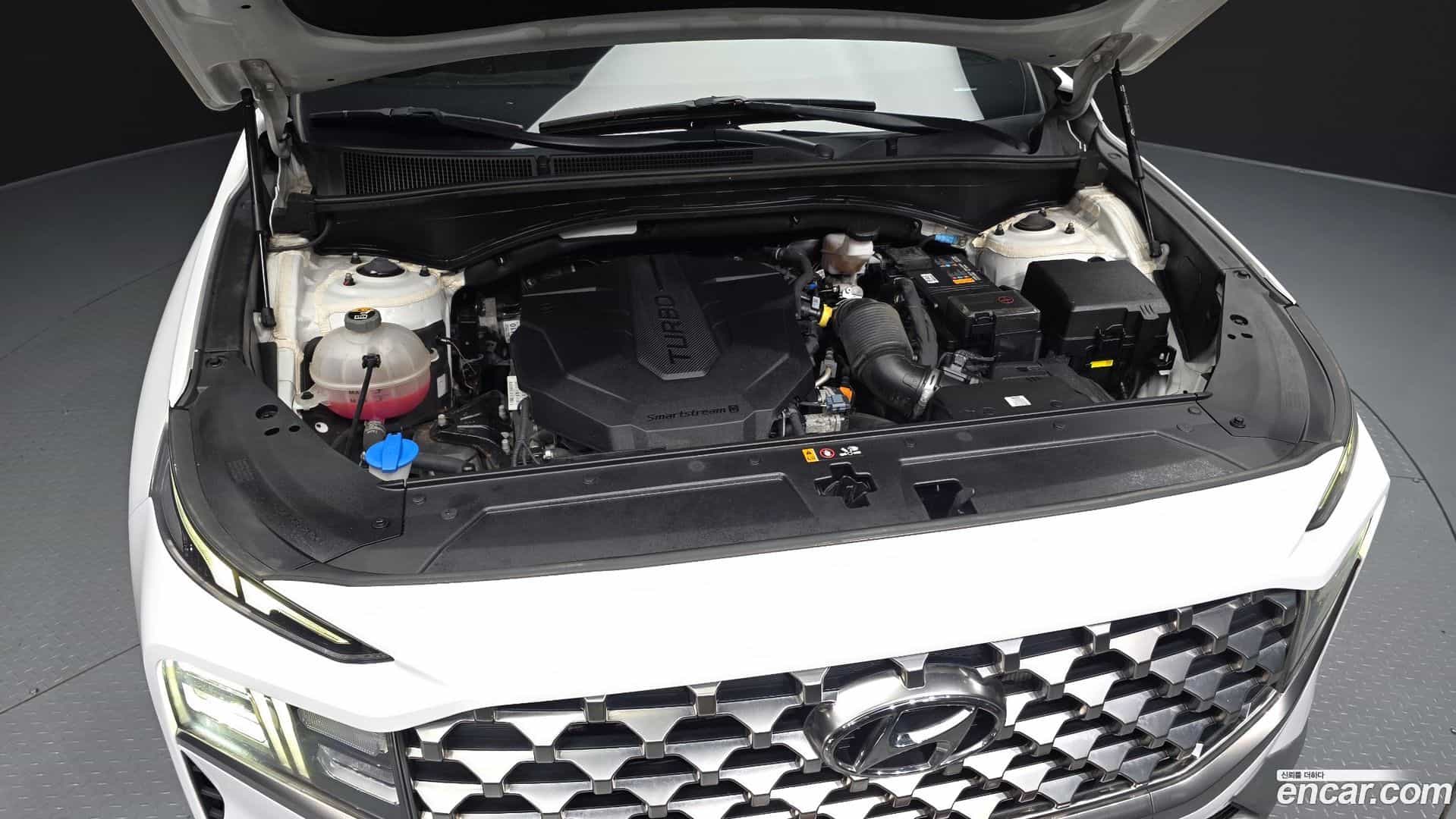 Santafe Hyundai 2021.11-OUTER-006