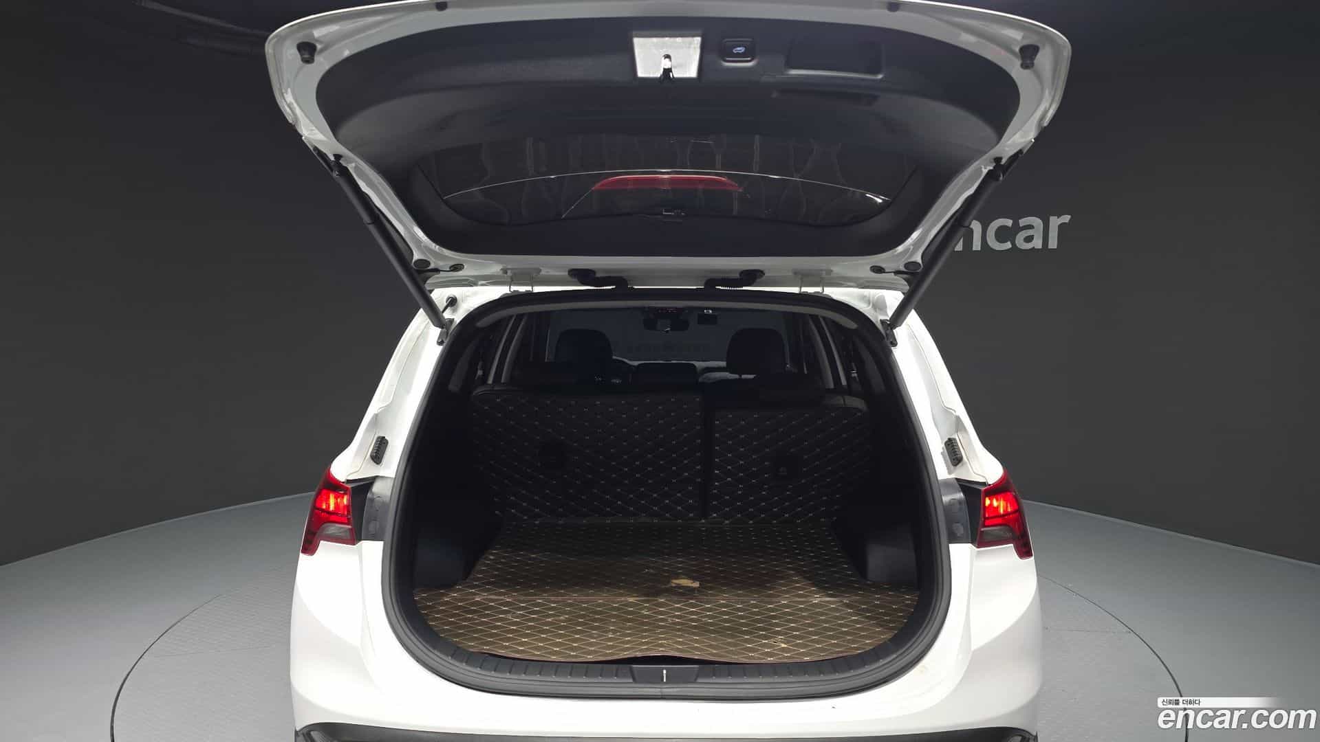 Santafe Hyundai 2021.11-OPTION-024