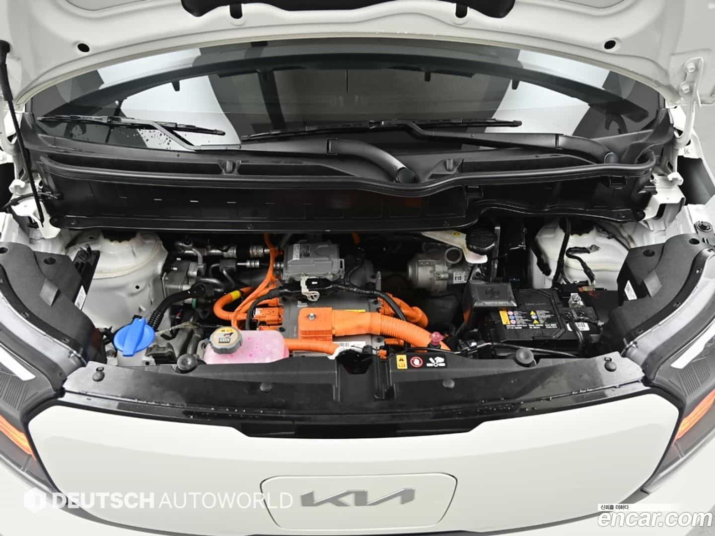 RAY Kia 2024.7-OUTER-006