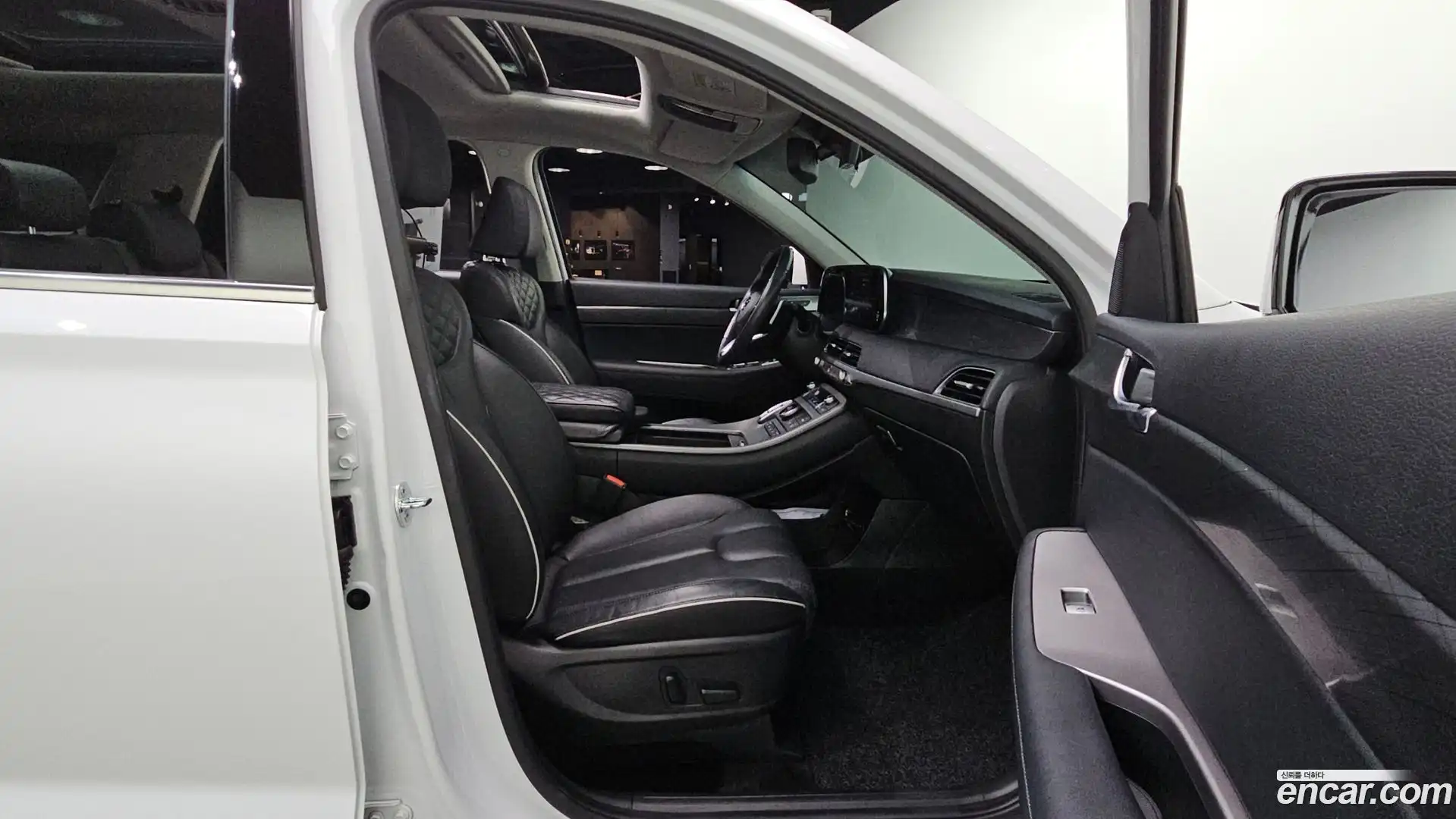 Palisade Hyundai 2020.10-OPTION-016