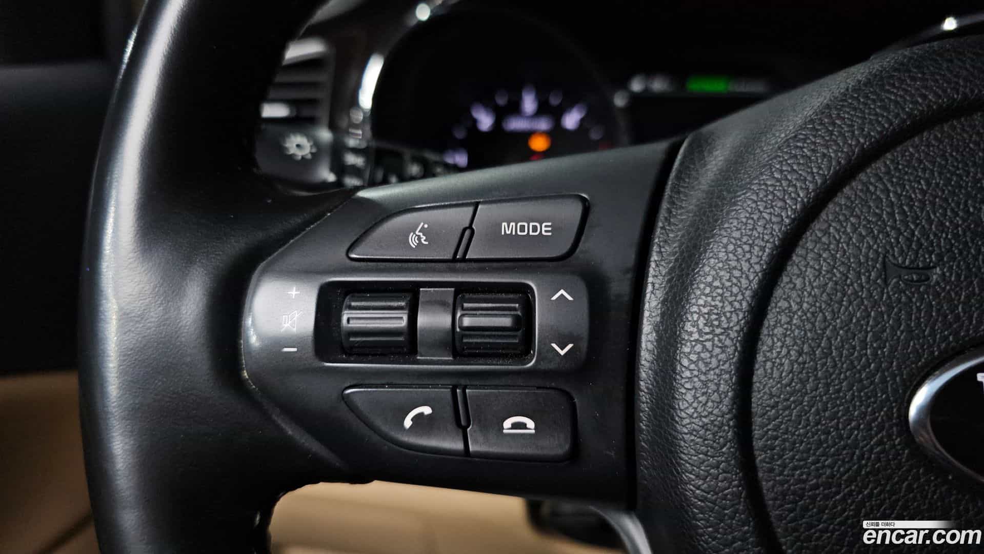 Canival Kia 2018.4-OPTION-040