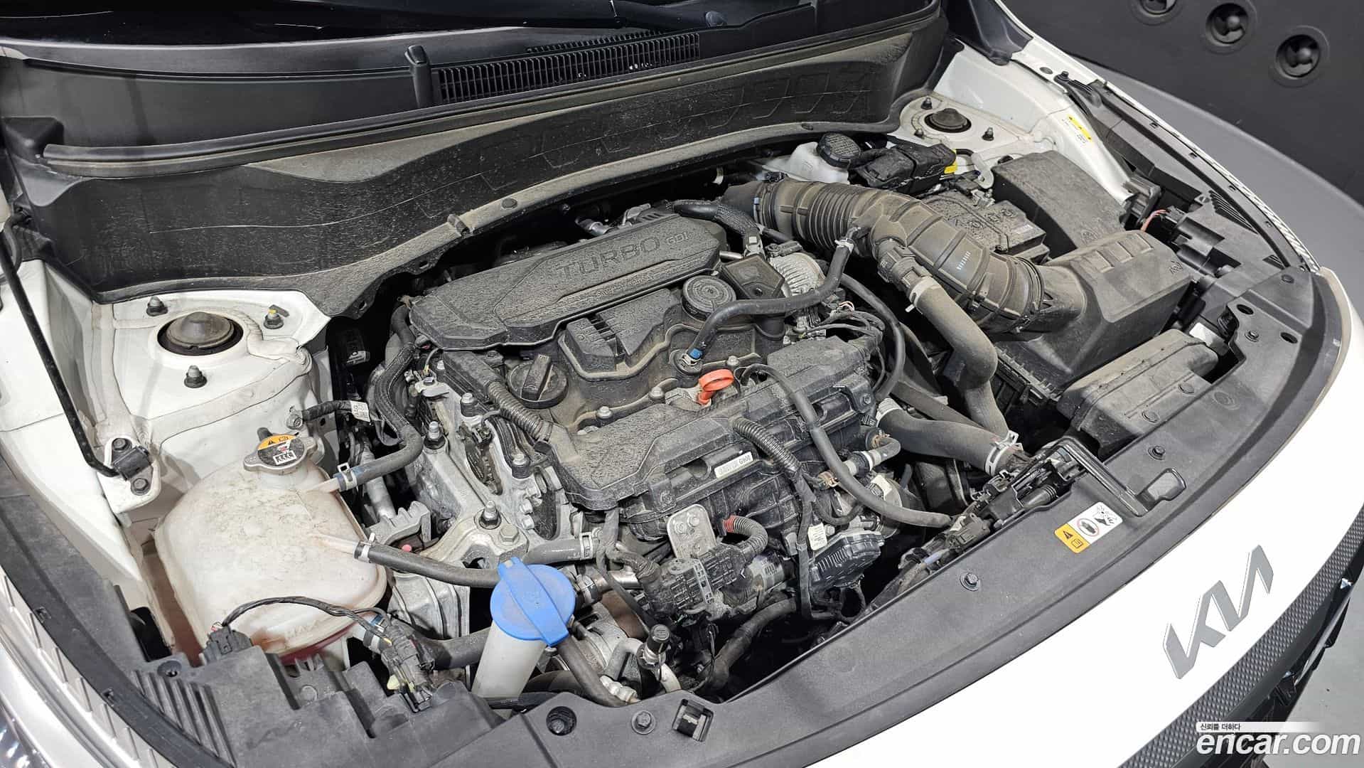 Seltos Kia 2023.6-OUTER-006