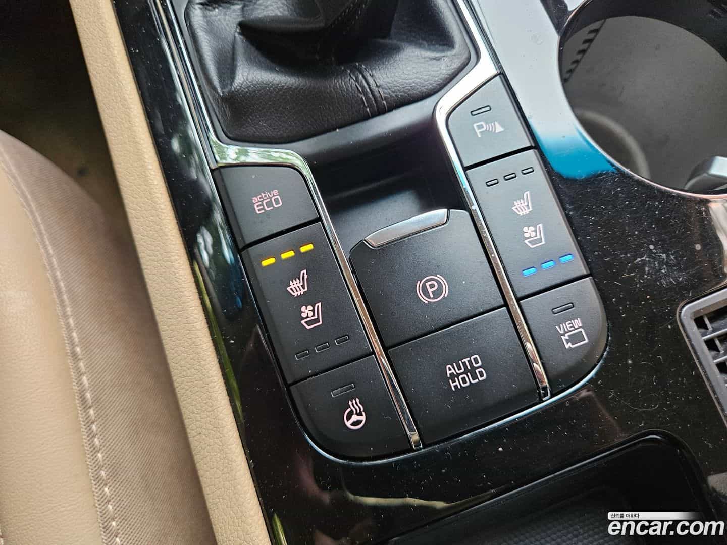 Canival Kia 2019.11-OPTION-016