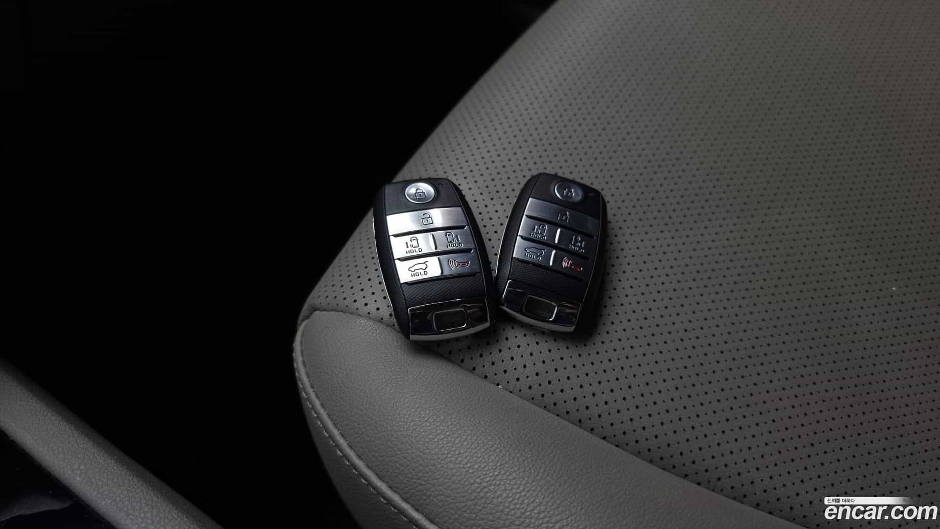 Canival Kia 2018.9-OPTION-040