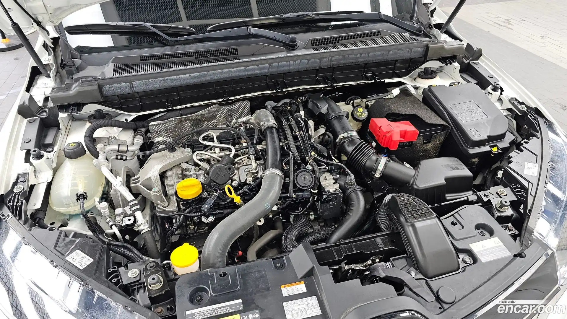 XM3 Renault Korea 2020.3-OUTER-006