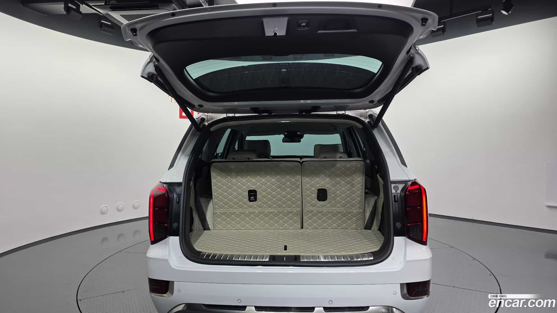 Palisade Hyundai 2021.11-OPTION-047