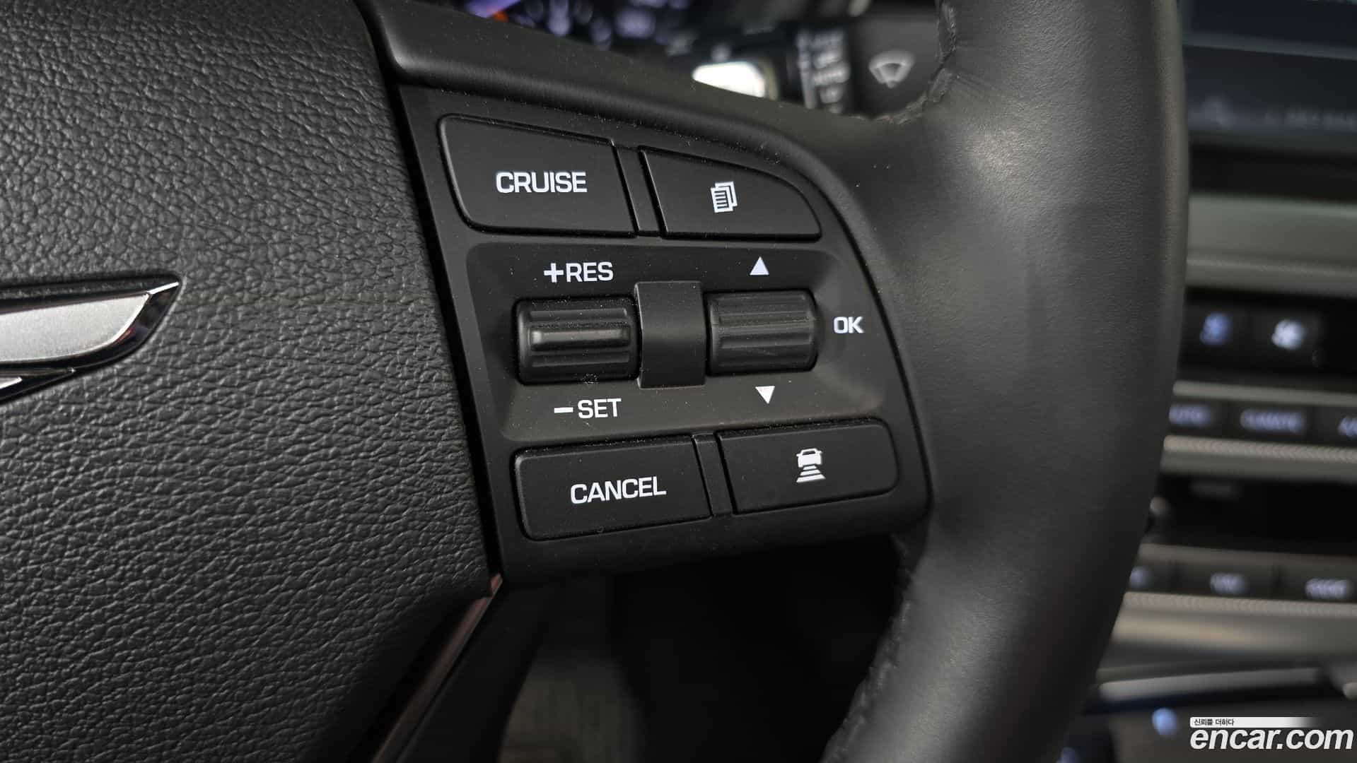 G80 Genesis 2019.4-OPTION-019