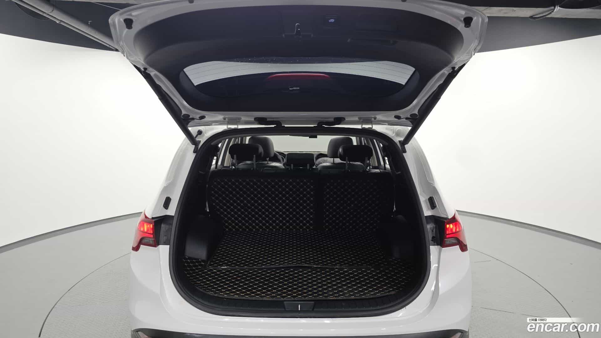 Santafe Hyundai 2021.11-OPTION-024