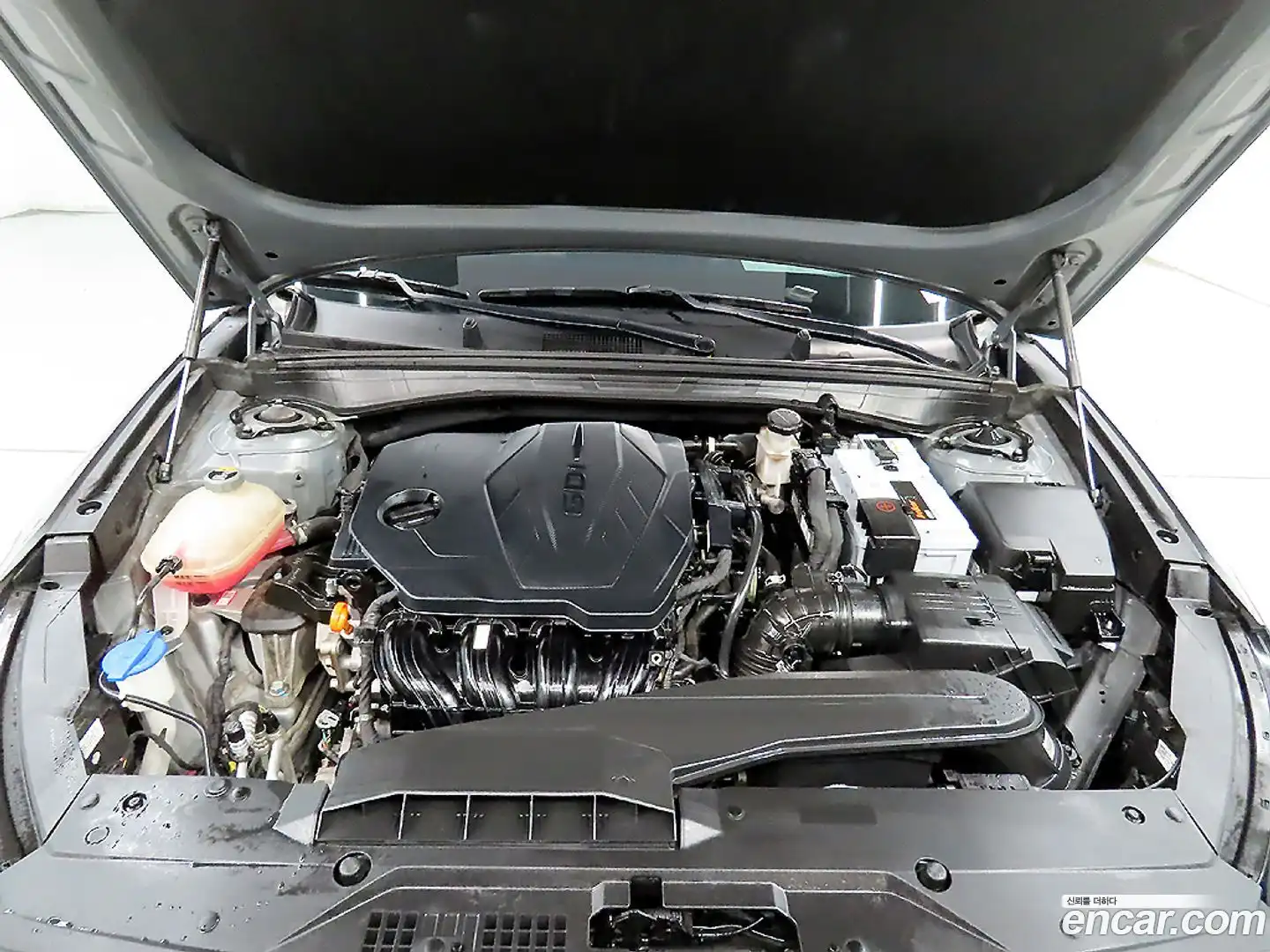 K8 Kia 2021.4-OPTION-023