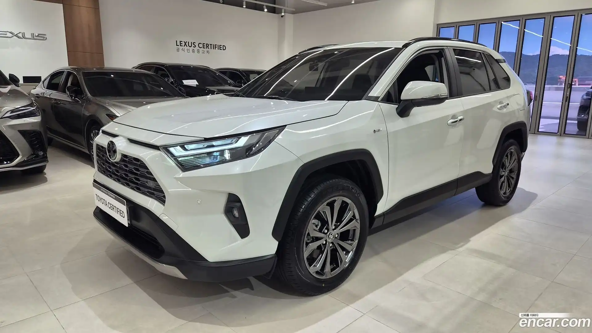 RAV4 Toyota 2025.9-OUTER-001