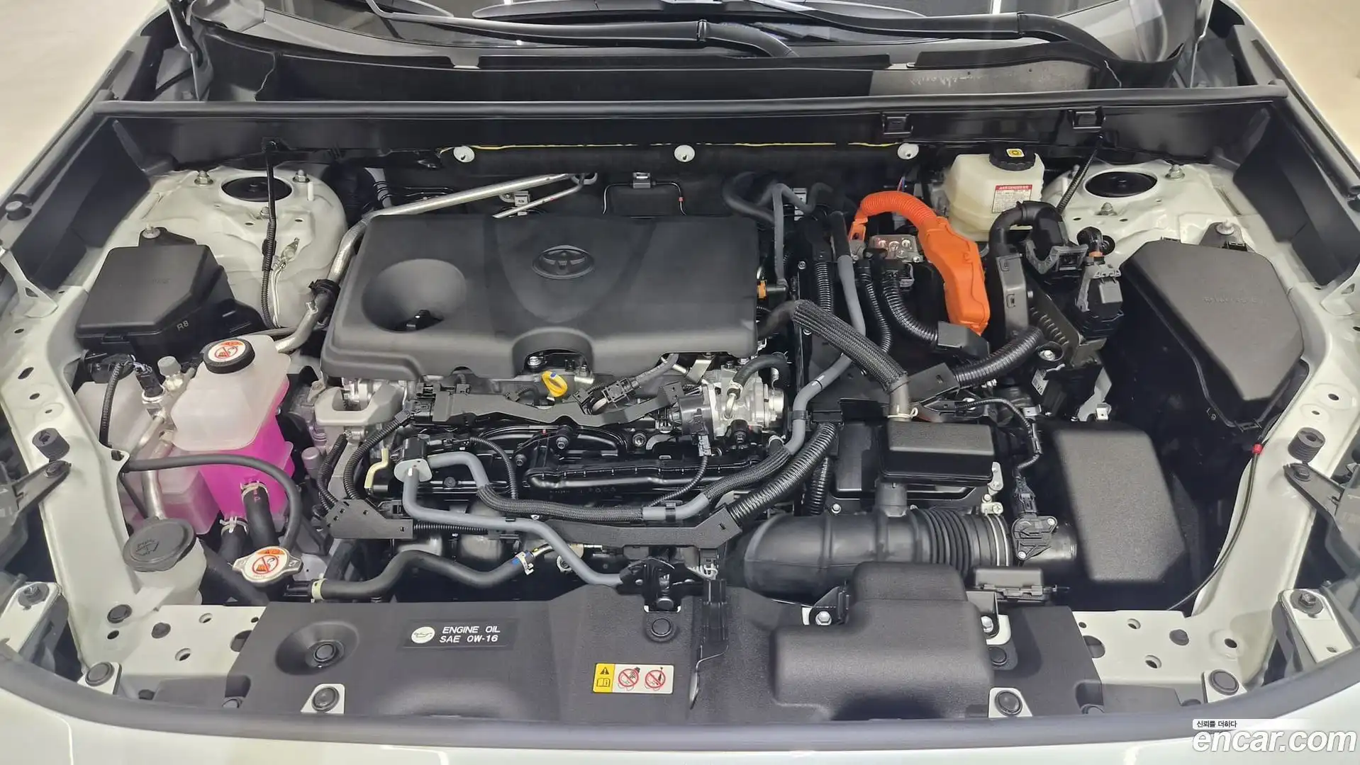 RAV4 Toyota 2025.9-OUTER-006