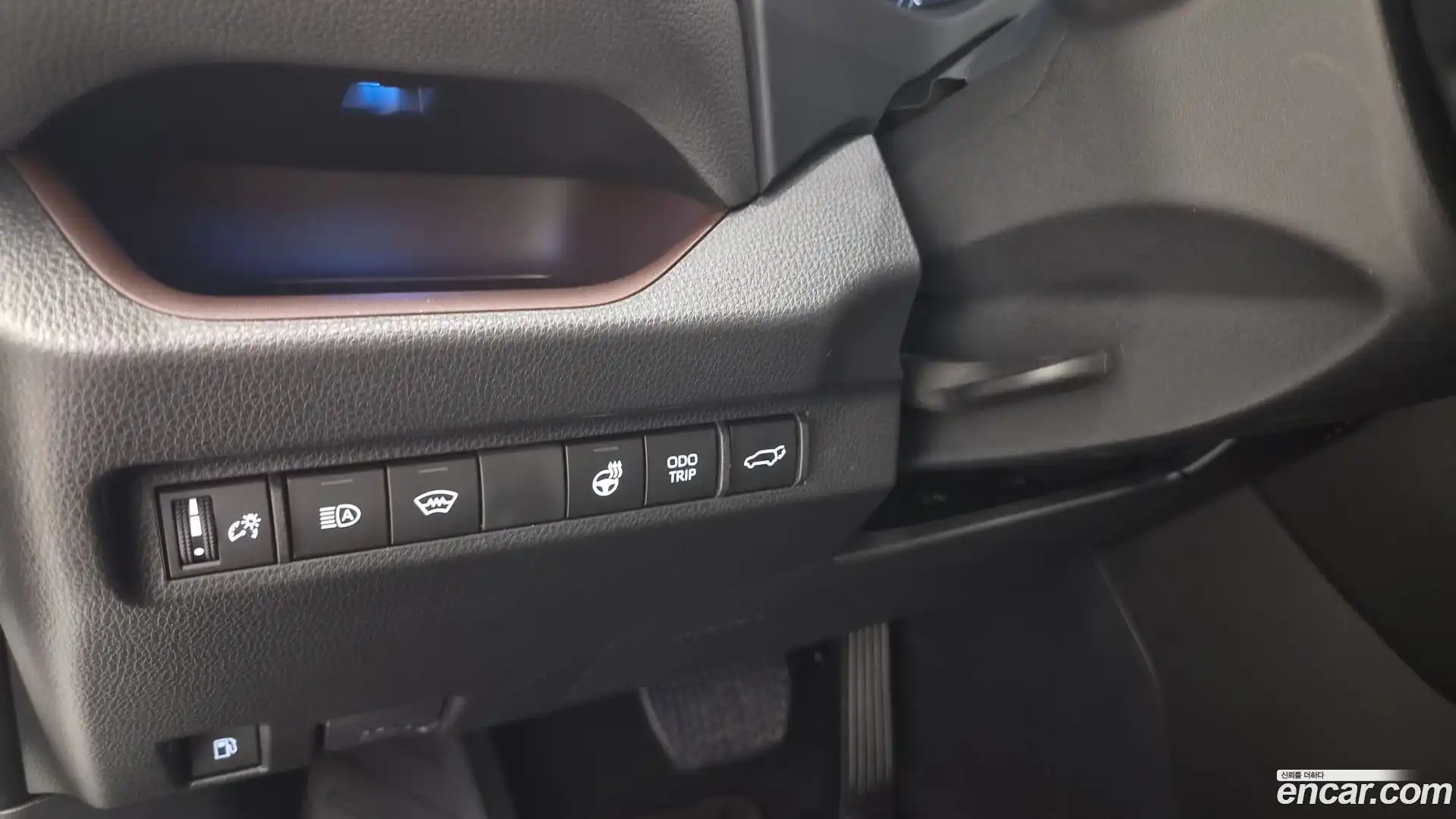 RAV4 Toyota 2025.9-OPTION-017