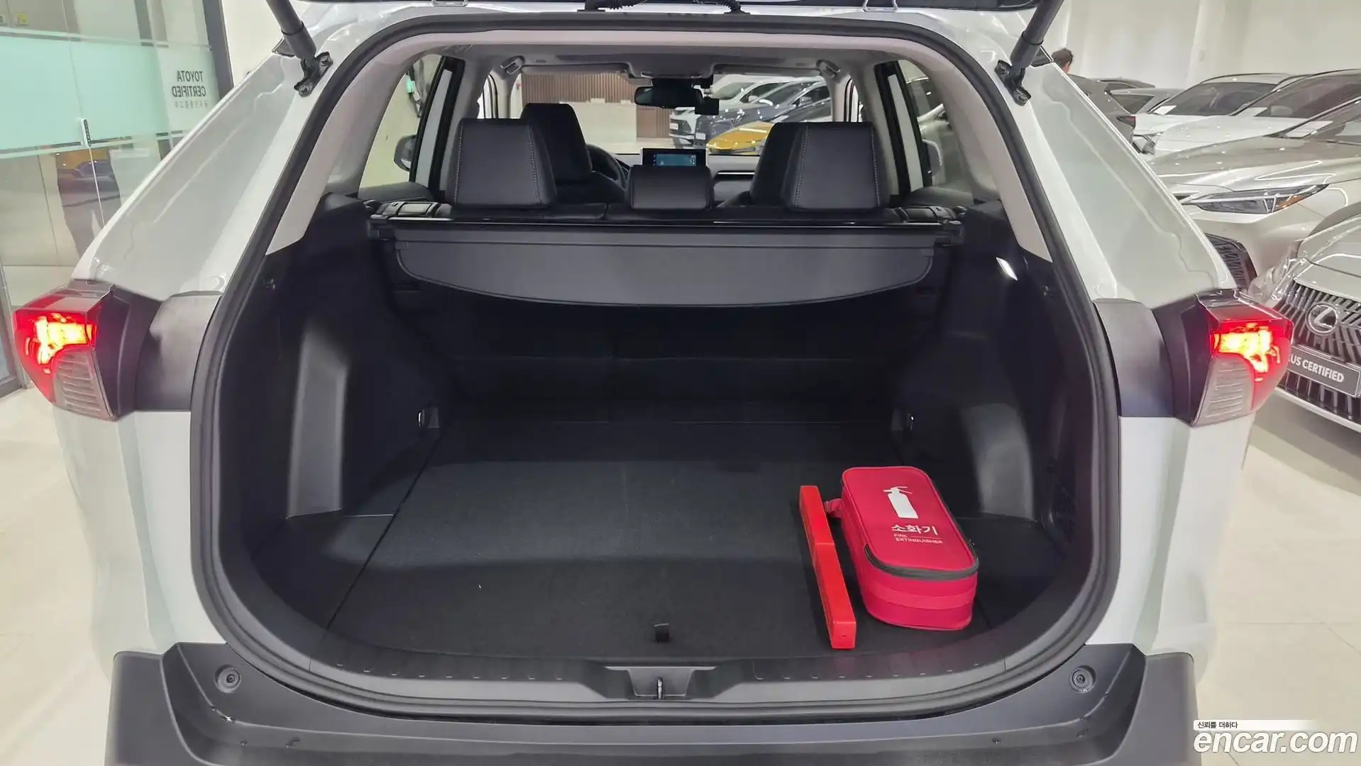 RAV4 Toyota 2025.9-OPTION-023