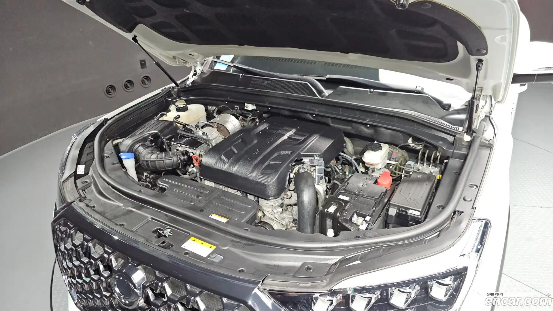 Rexton KG Mobility 2024.6-OUTER-006