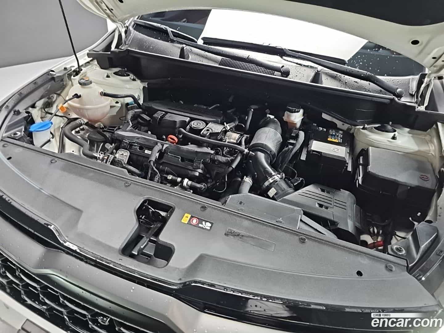 Sportage Kia 2021.9-OUTER-006