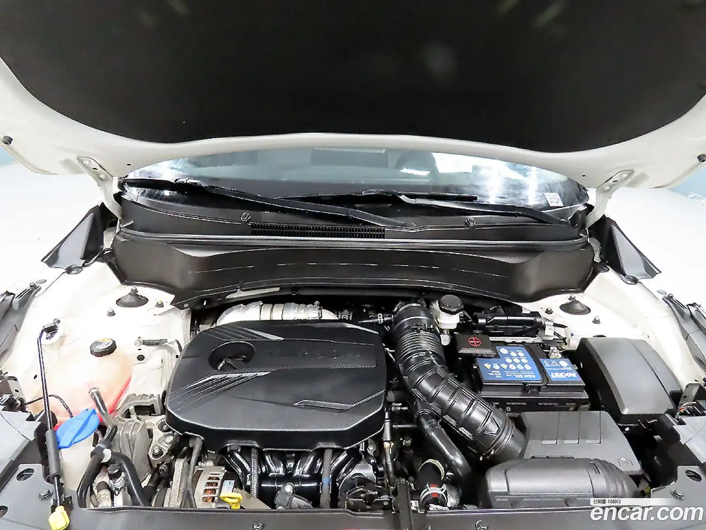 Seltos Kia 2021.9-OPTION-023
