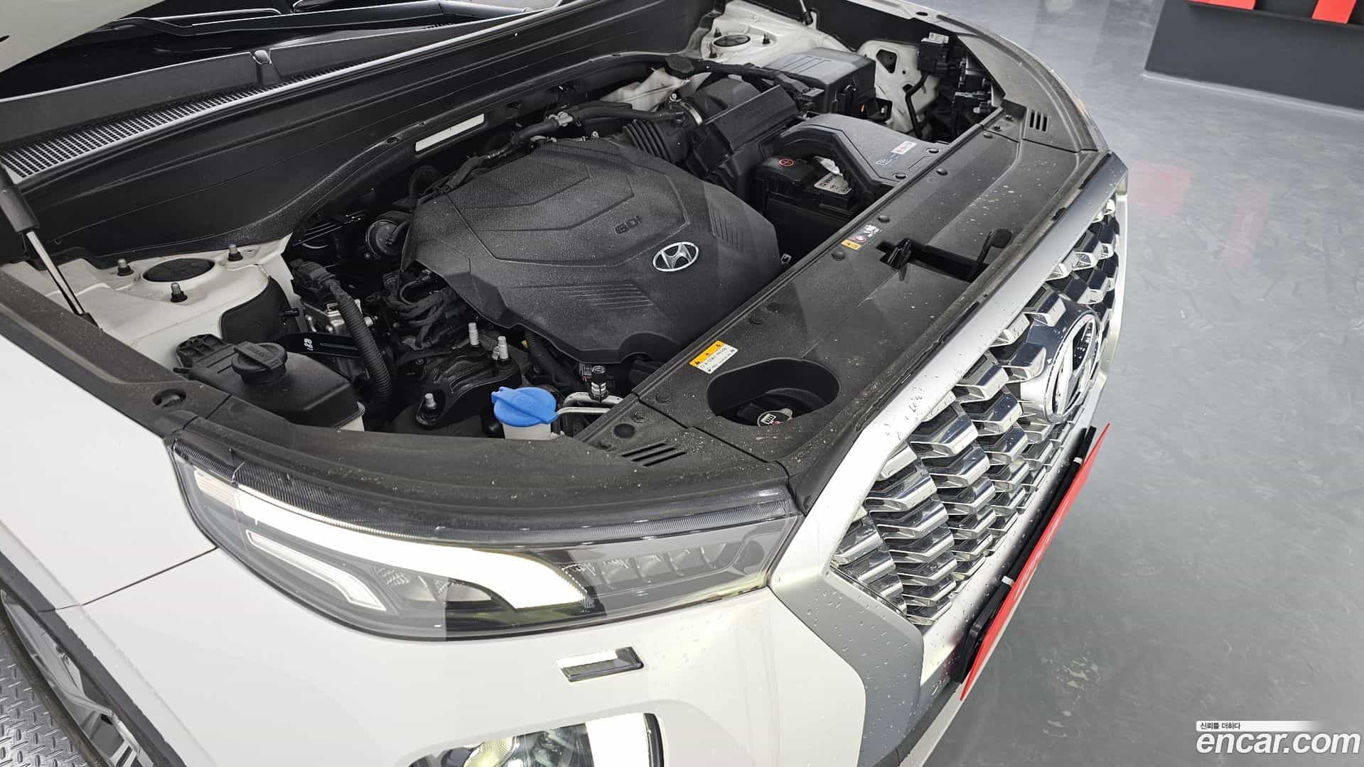 Palisade Hyundai 2019.11-OUTER-006