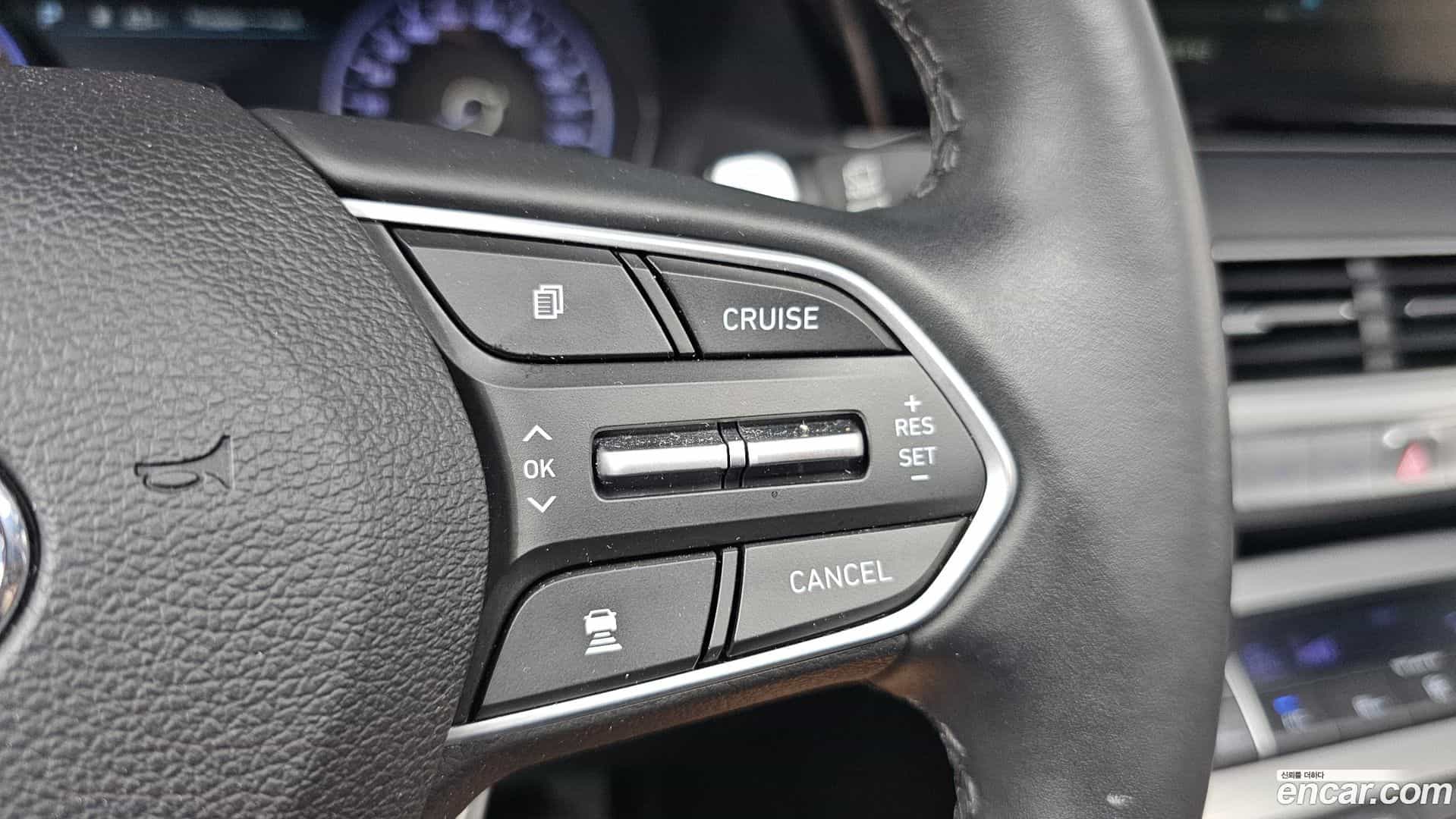 Palisade Hyundai 2019.11-OPTION-021
