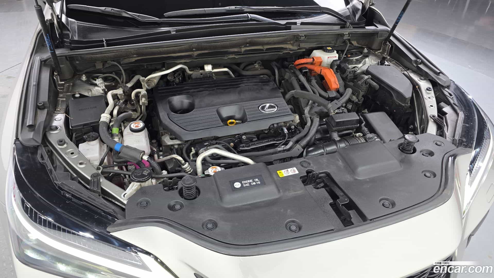 NX Lexus 2024.5-OUTER-006