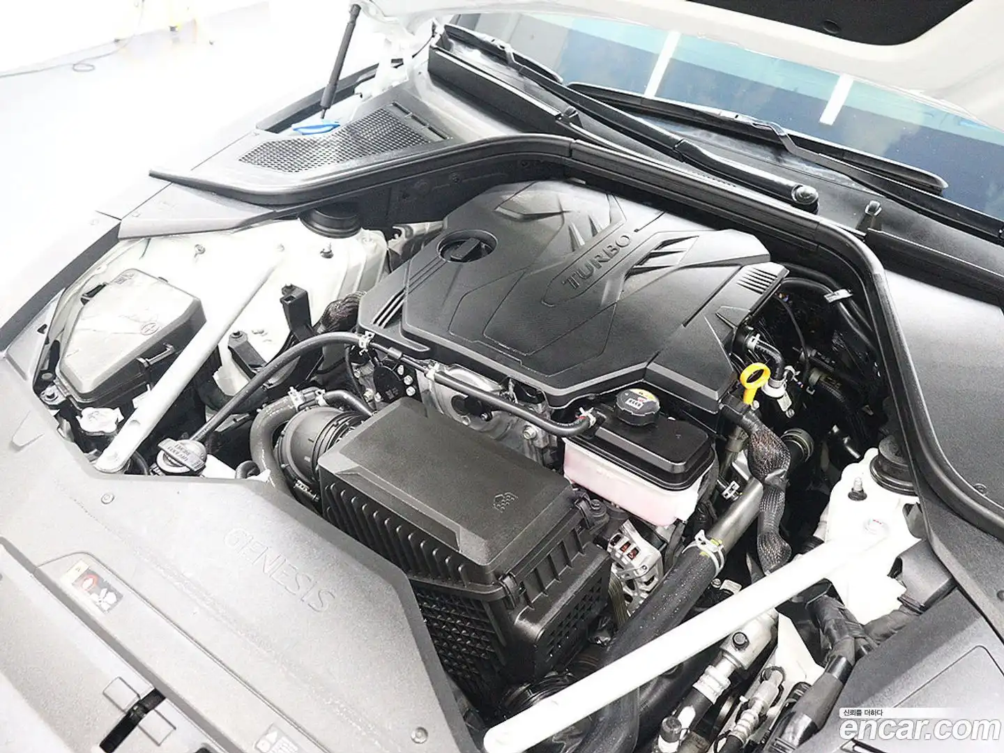 G80 Genesis 2024.4-OPTION-023