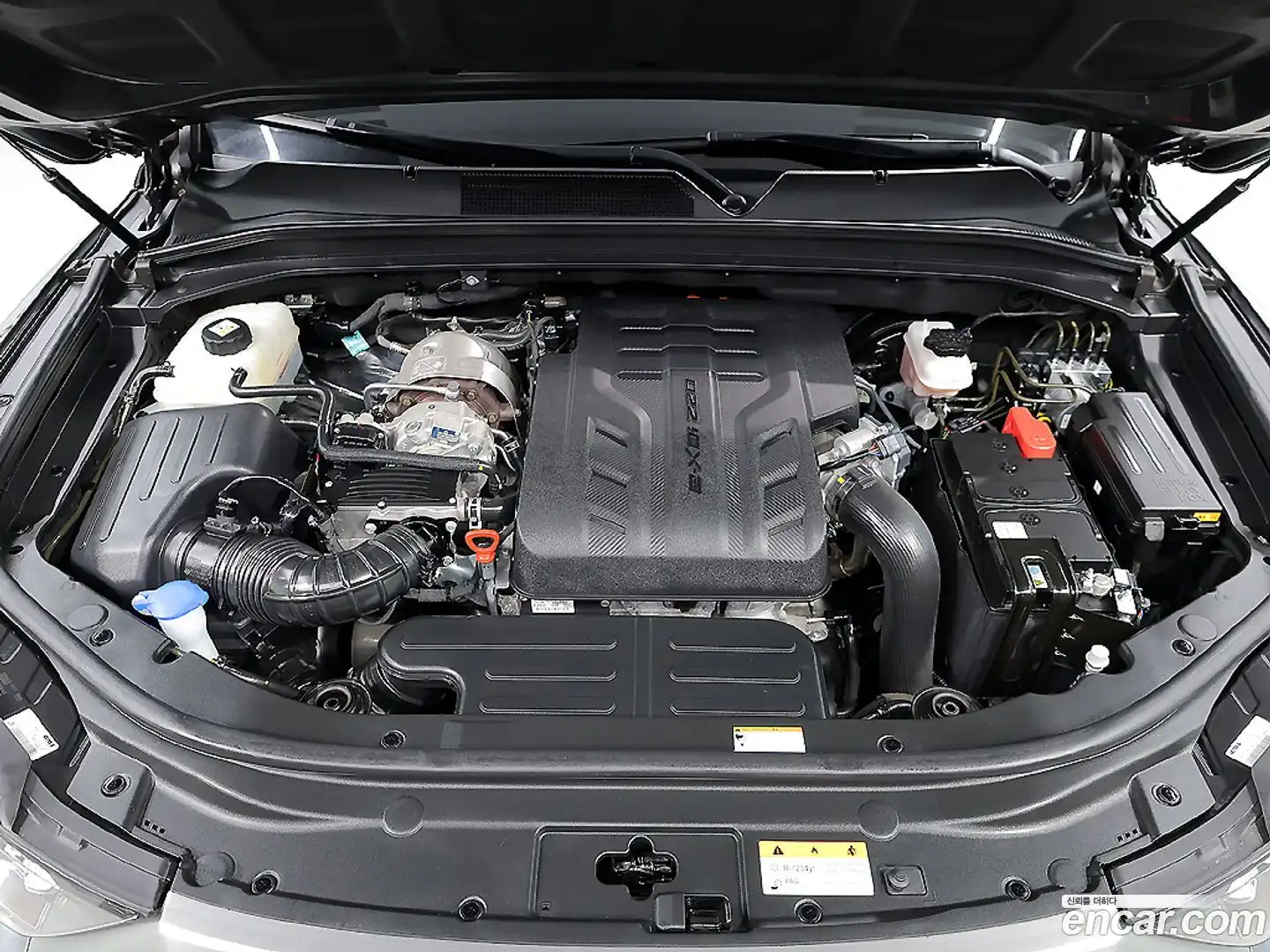 Rexton KG Mobility 2024.6-OUTER-006