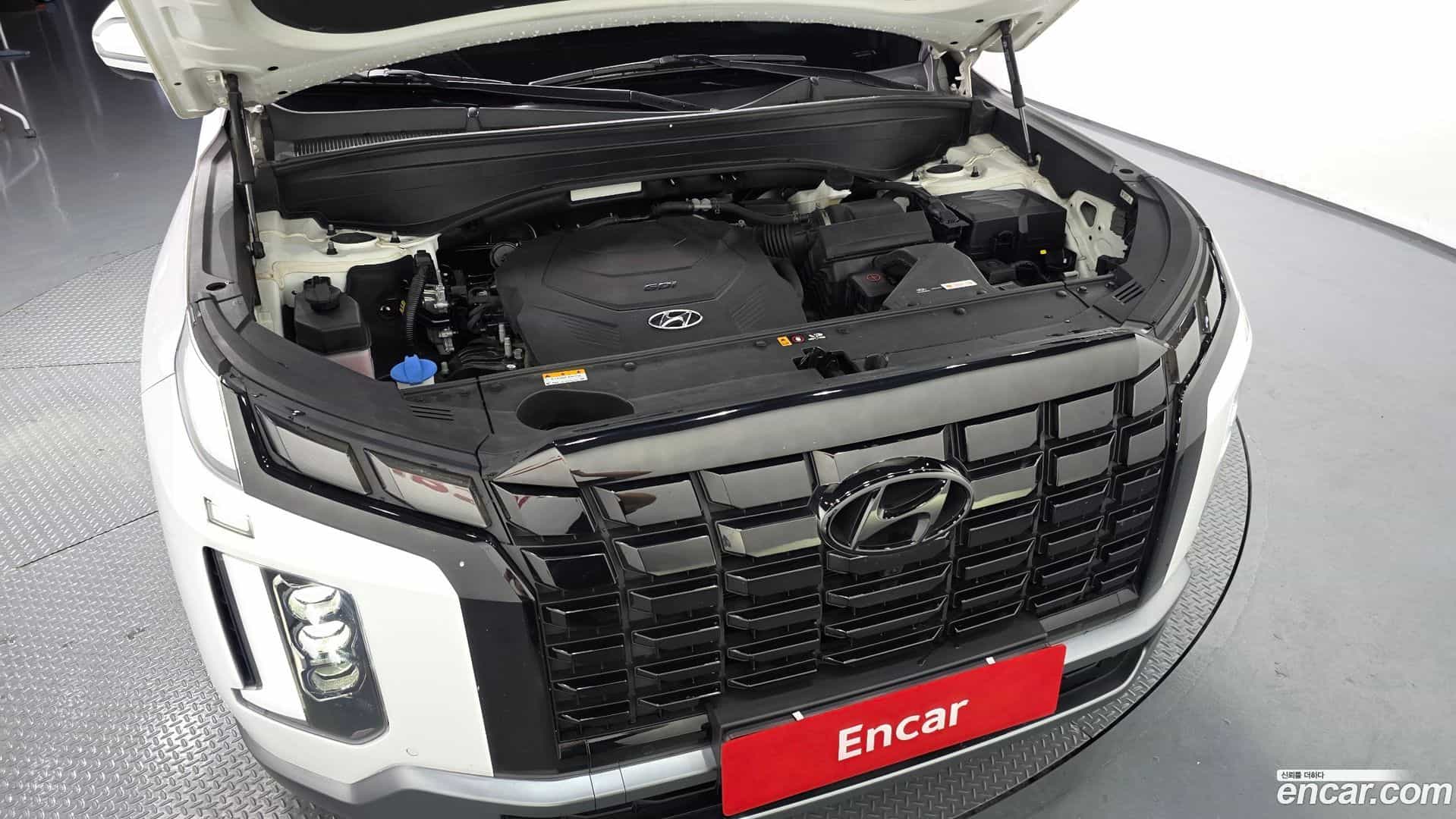 Palisade Hyundai 2022.6-OUTER-006